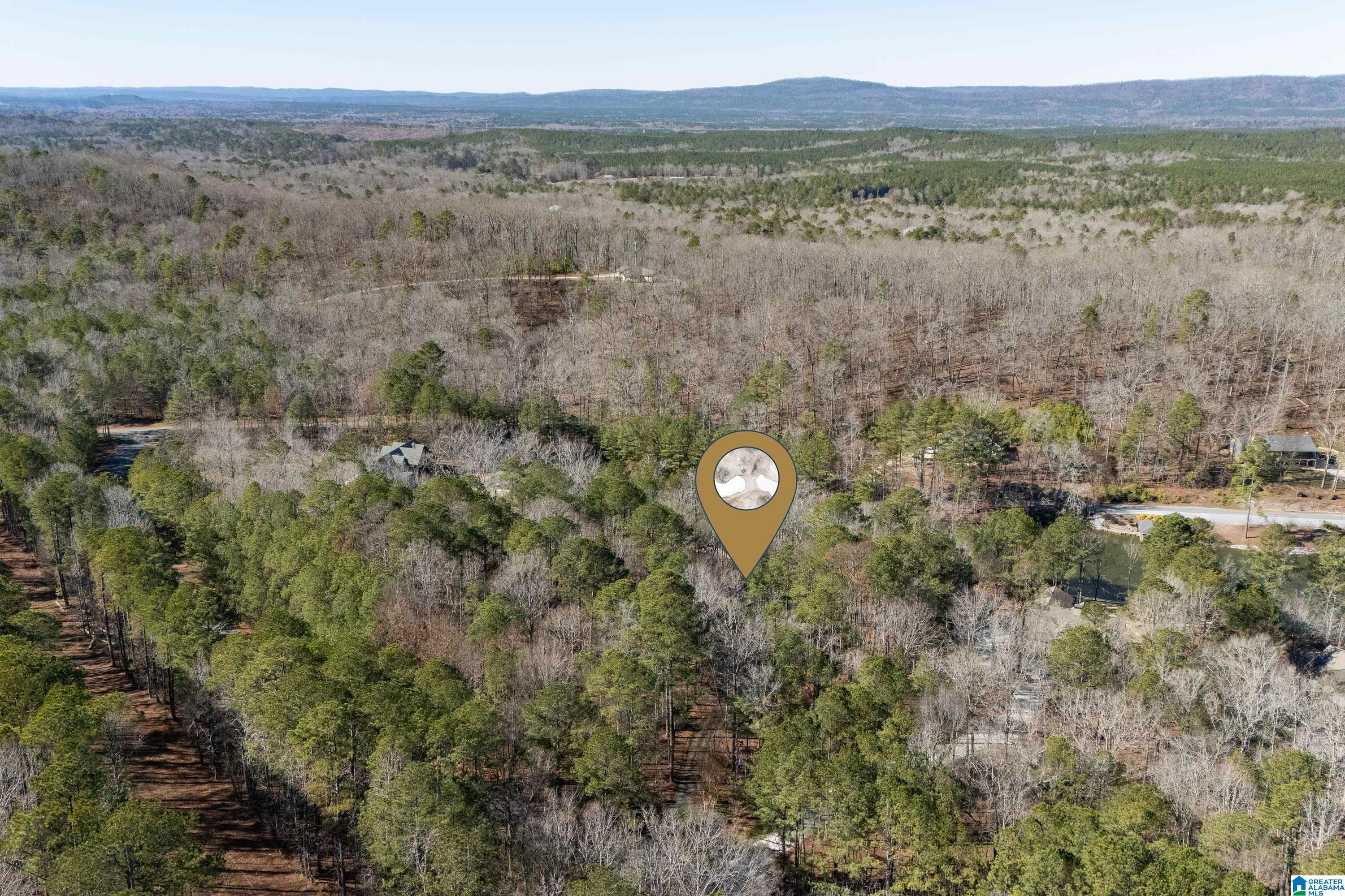 Homes for sale in Harpersville, AL | 89 Deerwood Lake Dr, Harpersville, AL 35078 | MLS# 21441248