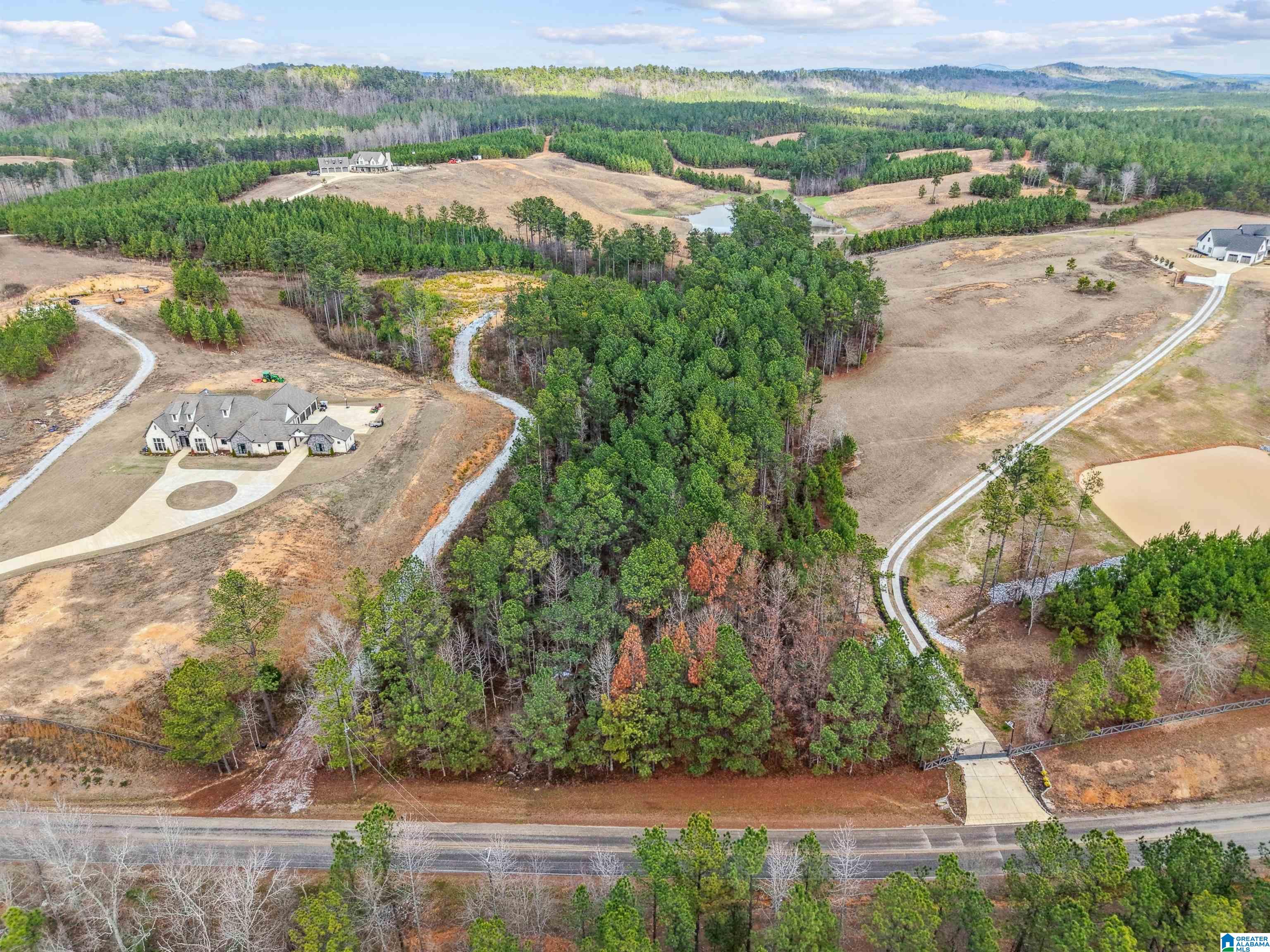 Homes for sale in Columbiana, AL | 6809 Joinertown Road, Columbiana, AL 35051 | MLS# 21441283