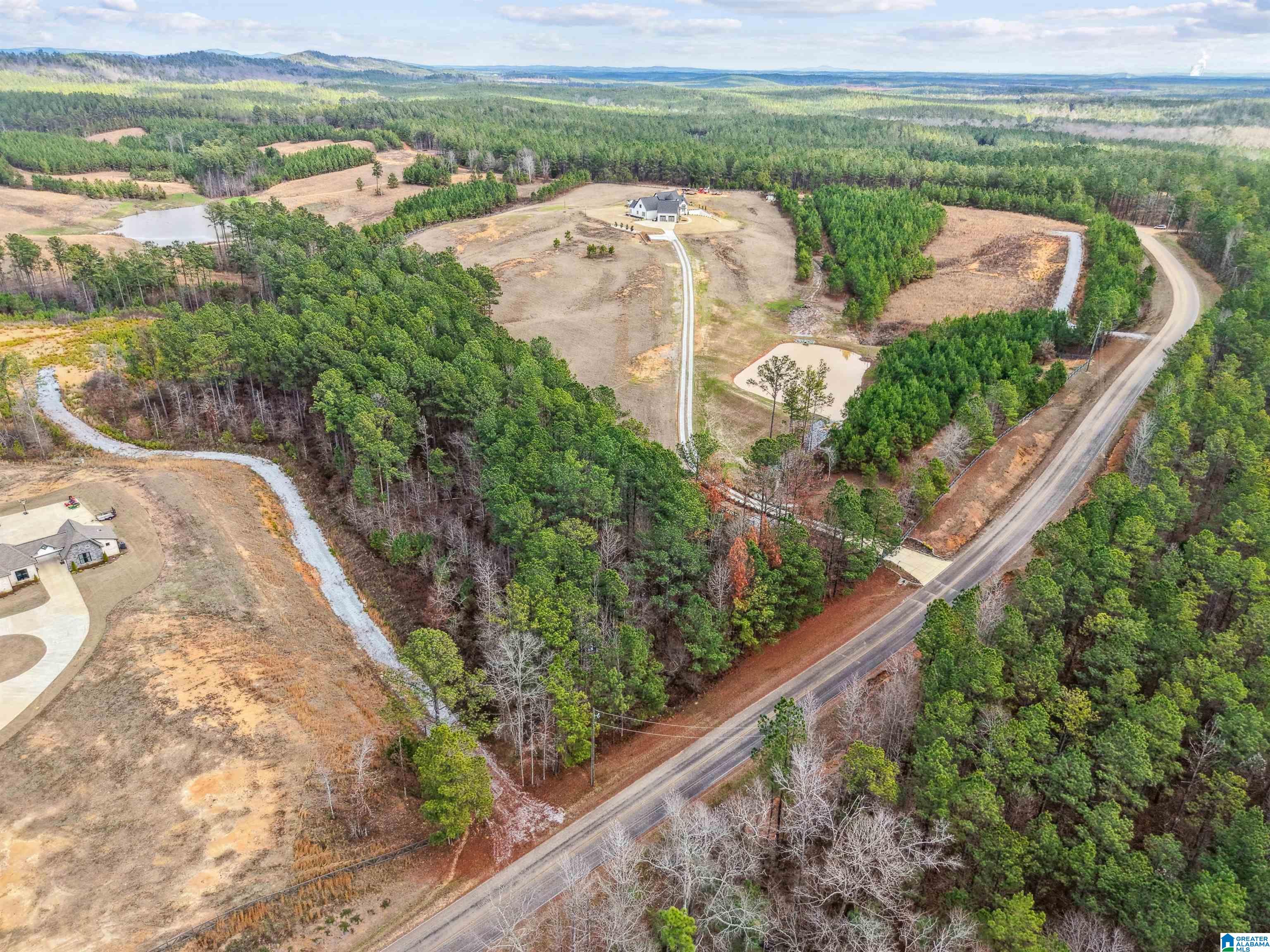 Homes for sale in Columbiana, AL | 6809 Joinertown Road, Columbiana, AL 35051 | MLS# 21441283