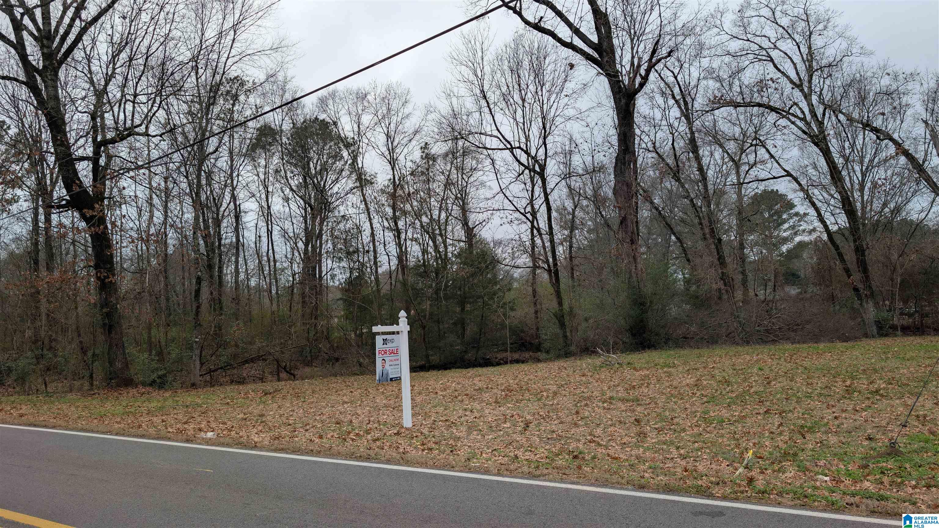 Homes for sale in Calera, AL | 2210 20th Street, Calera, AL 35040 | MLS# 21441286