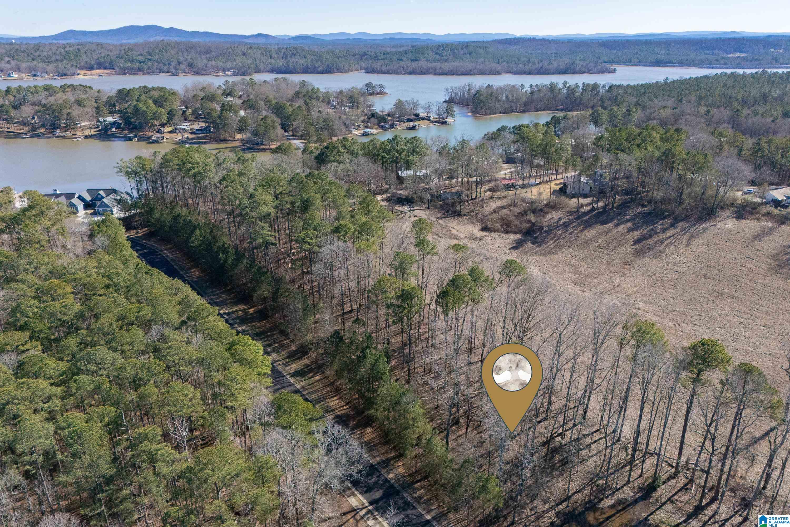 Homes for sale in Vincent, AL | 100 Coves Dr, Vincent, AL 35178 | MLS# 21441289