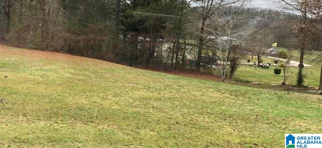 Homes for sale in Vincent, AL | 127 Amanda Dr, Vincent, AL 35178 | MLS# 21441294