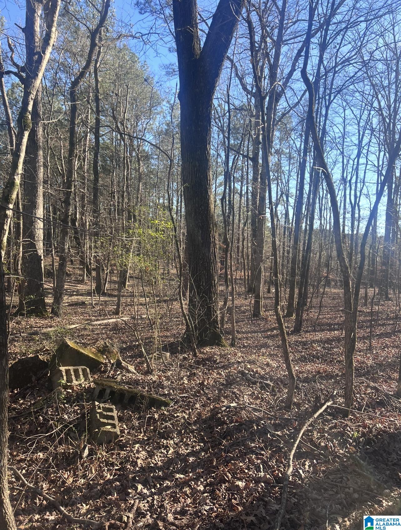 Homes for sale in Mccalla, AL | Renaee Circle, Mccalla, AL 35111 | MLS# 21441296