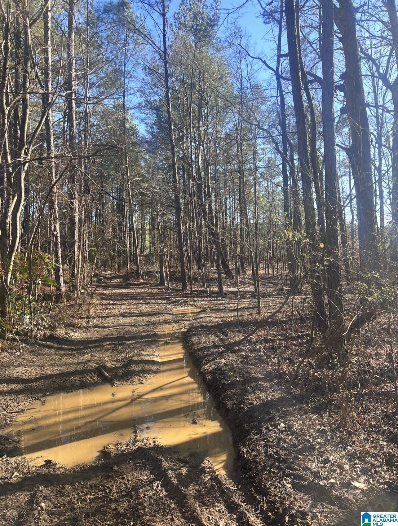 Homes for sale in Mccalla, AL | Renaee Circle, Mccalla, AL 35111 | MLS# 21441296