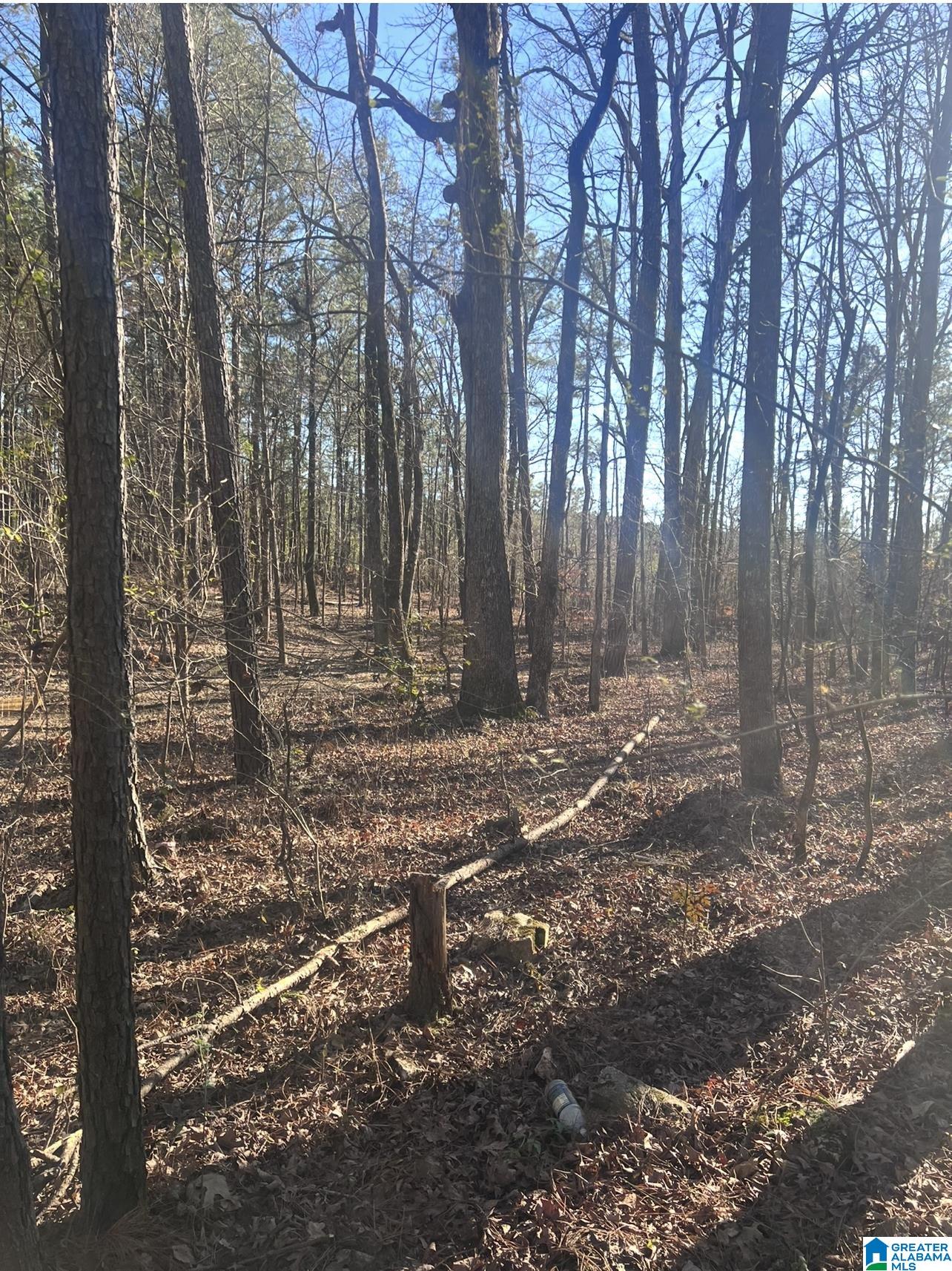 Homes for sale in Mccalla, AL | Renaee Circle, Mccalla, AL 35111 | MLS# 21441296