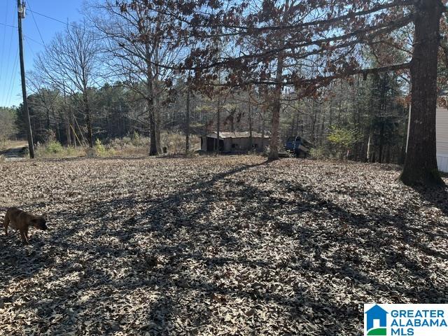 Homes for sale in Haleyville, AL | 4075 County Road, Haleyville, AL 35565 | MLS# 21441303