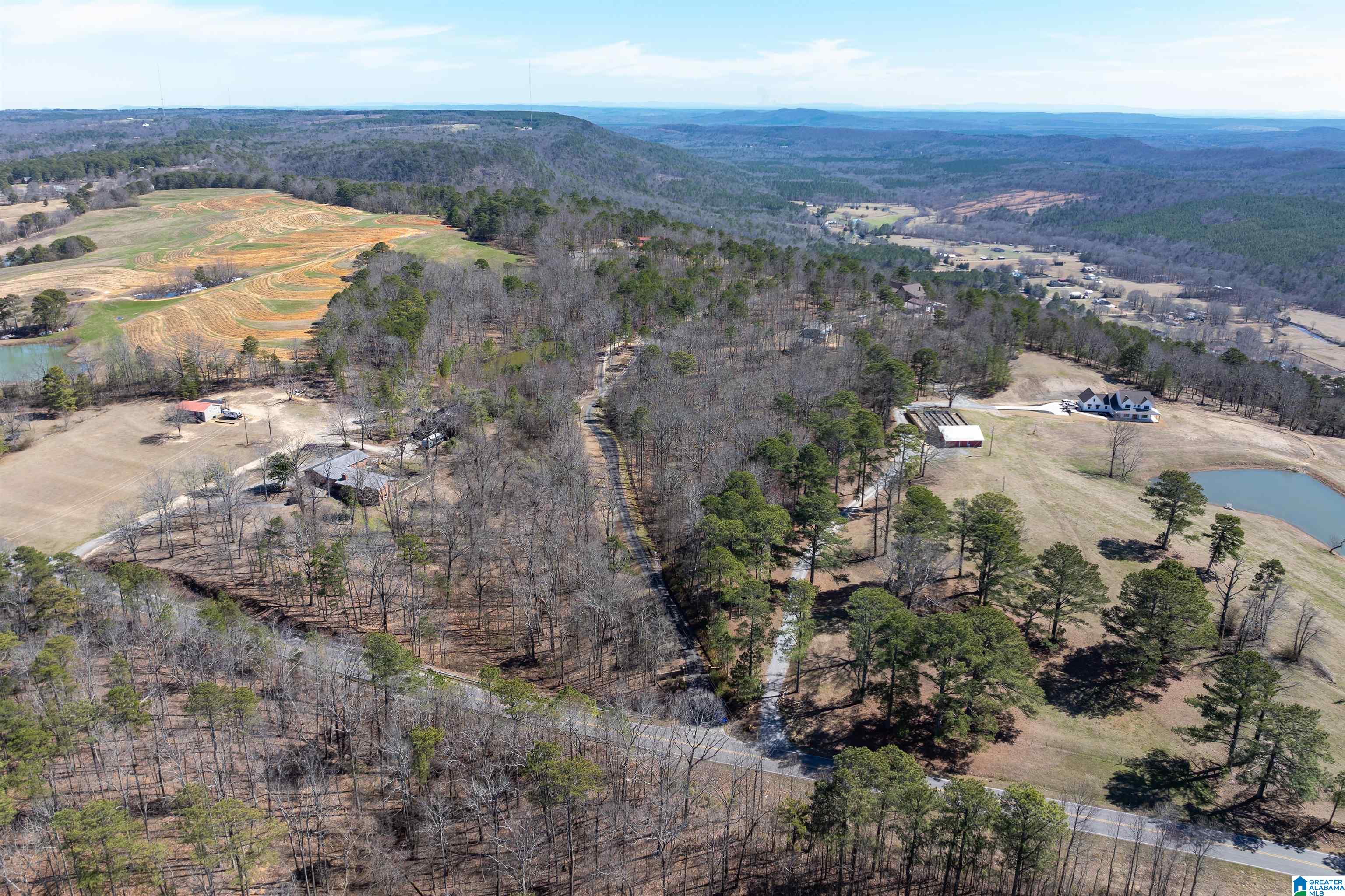 Homes for sale in Springville, AL | 8879 County Road 27, Springville, AL 35146 | MLS# 21441304