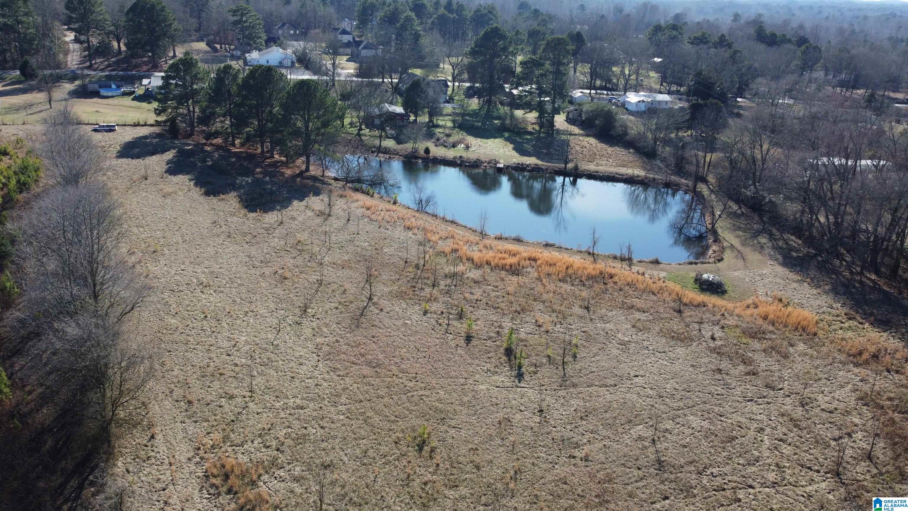 Homes for sale in Odenville, AL | 2879 Kelly Creek Road, Odenville, AL 35120 | MLS# 21441330