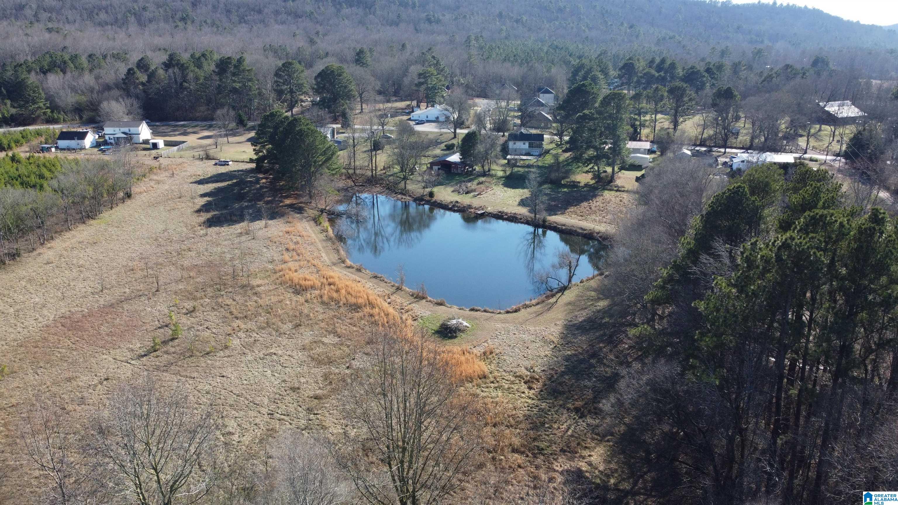 Homes for sale in Odenville, AL | 2879 Kelly Creek Road, Odenville, AL 35120 | MLS# 21441330