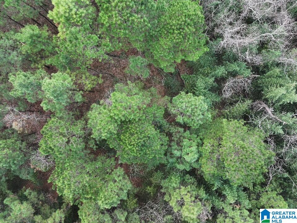 Homes for sale in Mobile, AL | 0 N University Boulevard, Mobile, AL 36613 | MLS# 21441346