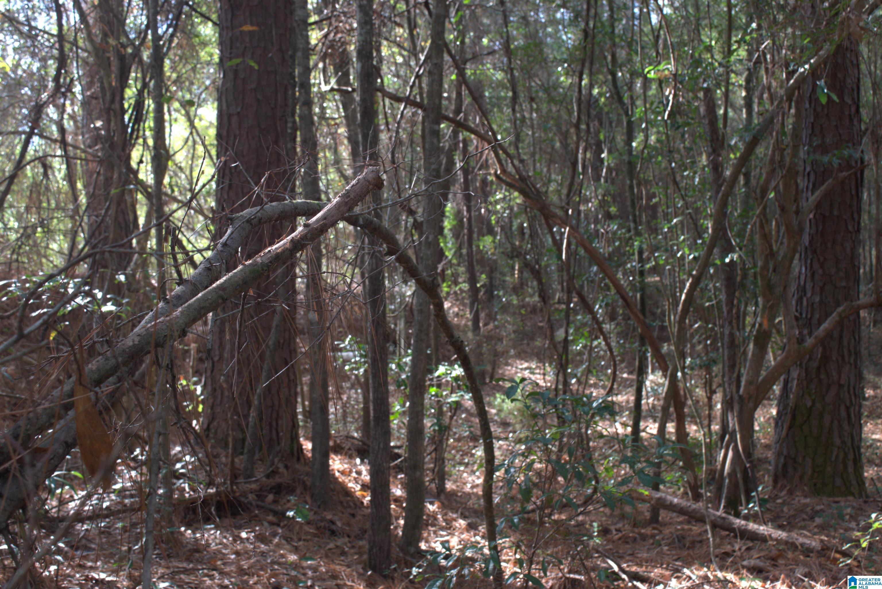 Homes for sale in Mobile, AL | 0 N University Boulevard, Mobile, AL 36613 | MLS# 21441346