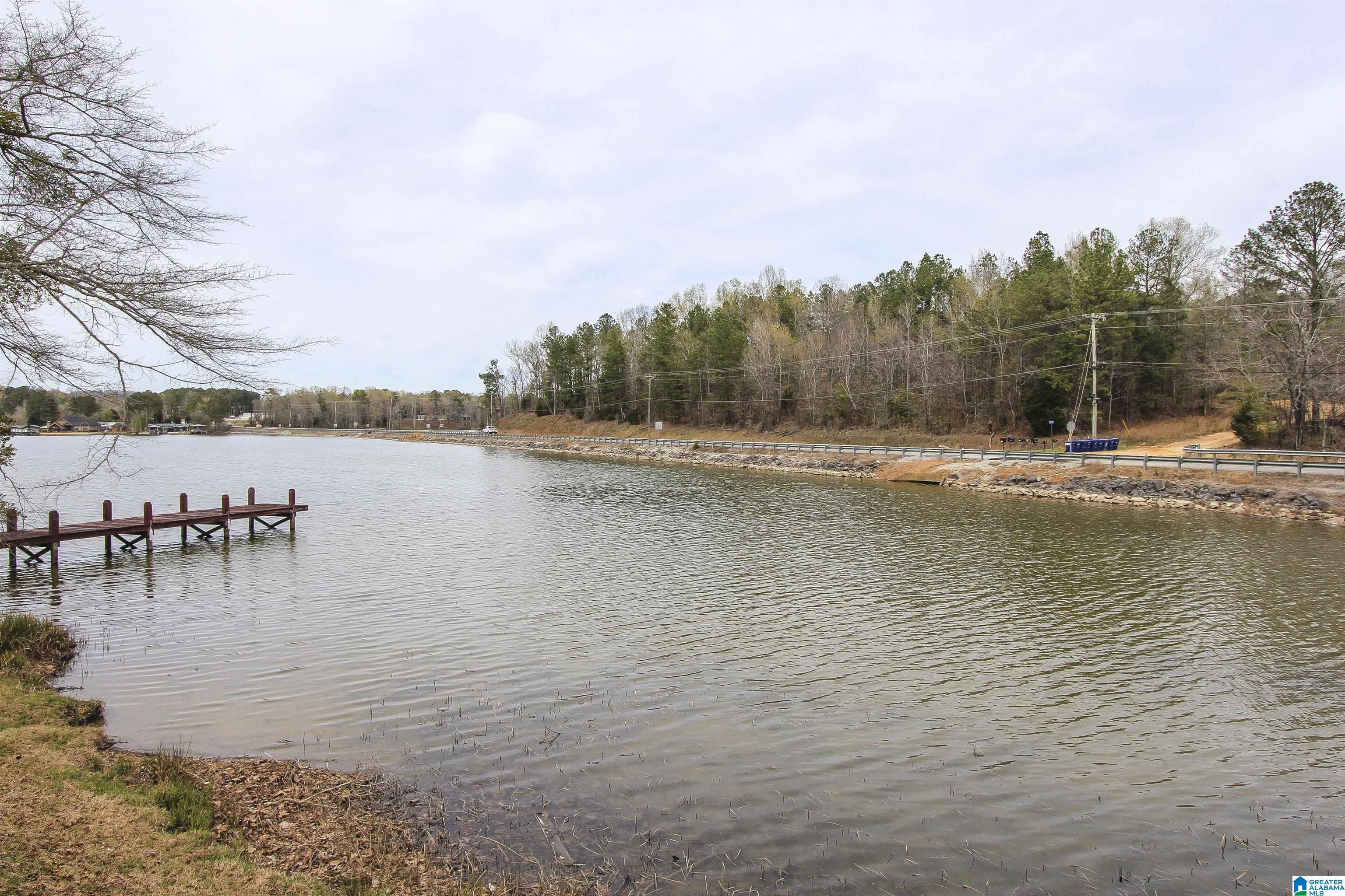 Homes for sale in Ohatchee, AL | 15 Mohawk Trail, Ohatchee, AL 36271 | MLS# 21441348