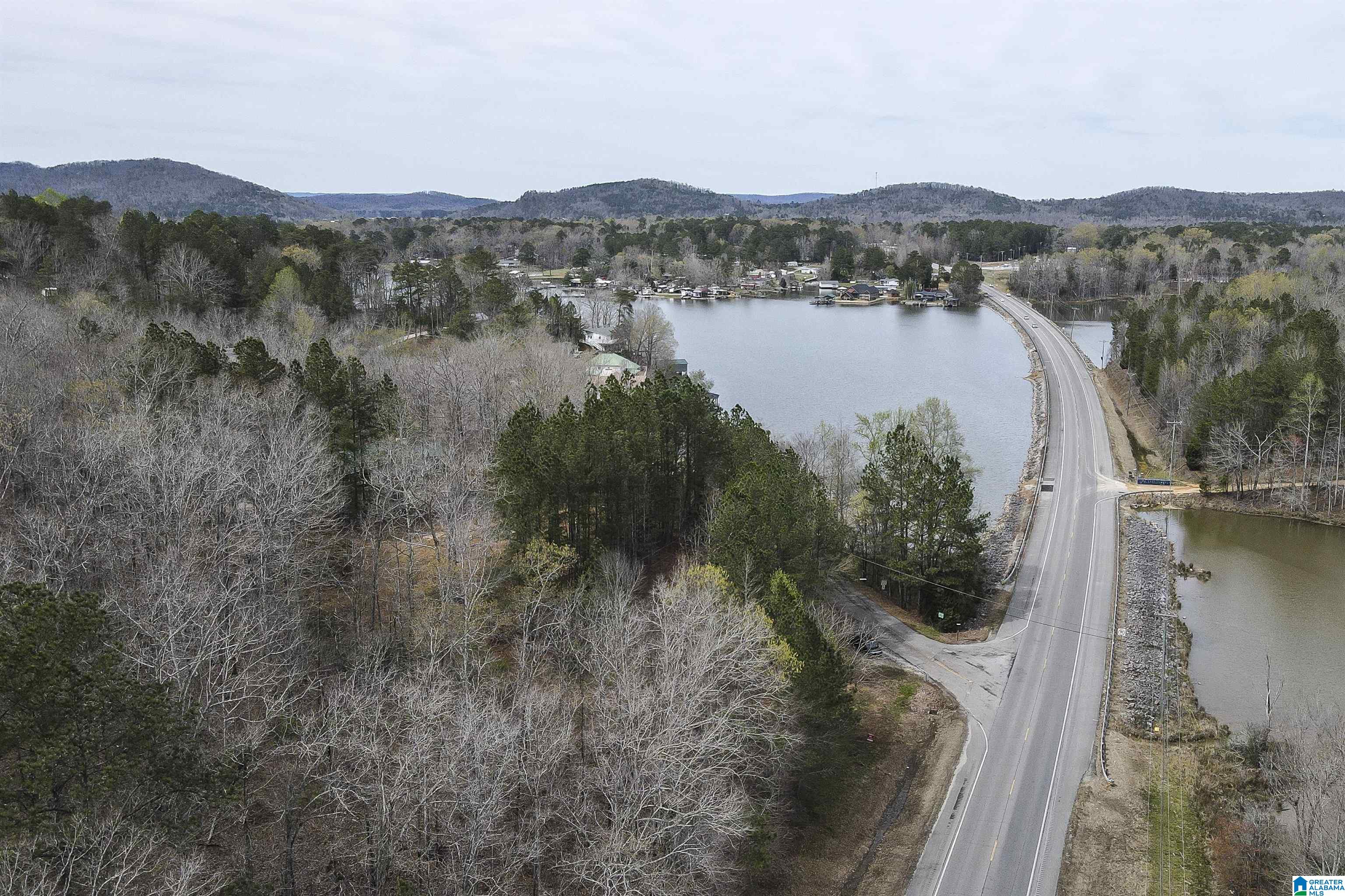 Homes for sale in Ohatchee, AL | 15 Mohawk Trail, Ohatchee, AL 36271 | MLS# 21441348