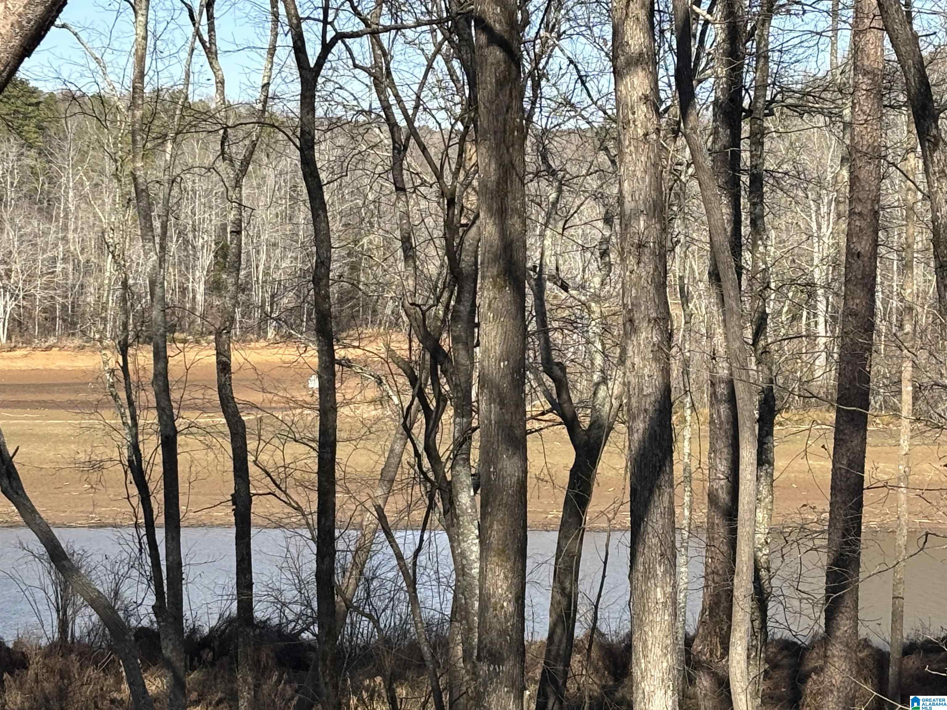 Homes for sale in Woodland, AL | Lot 11 County Road 499, Woodland, AL 36280 | MLS# 21441383