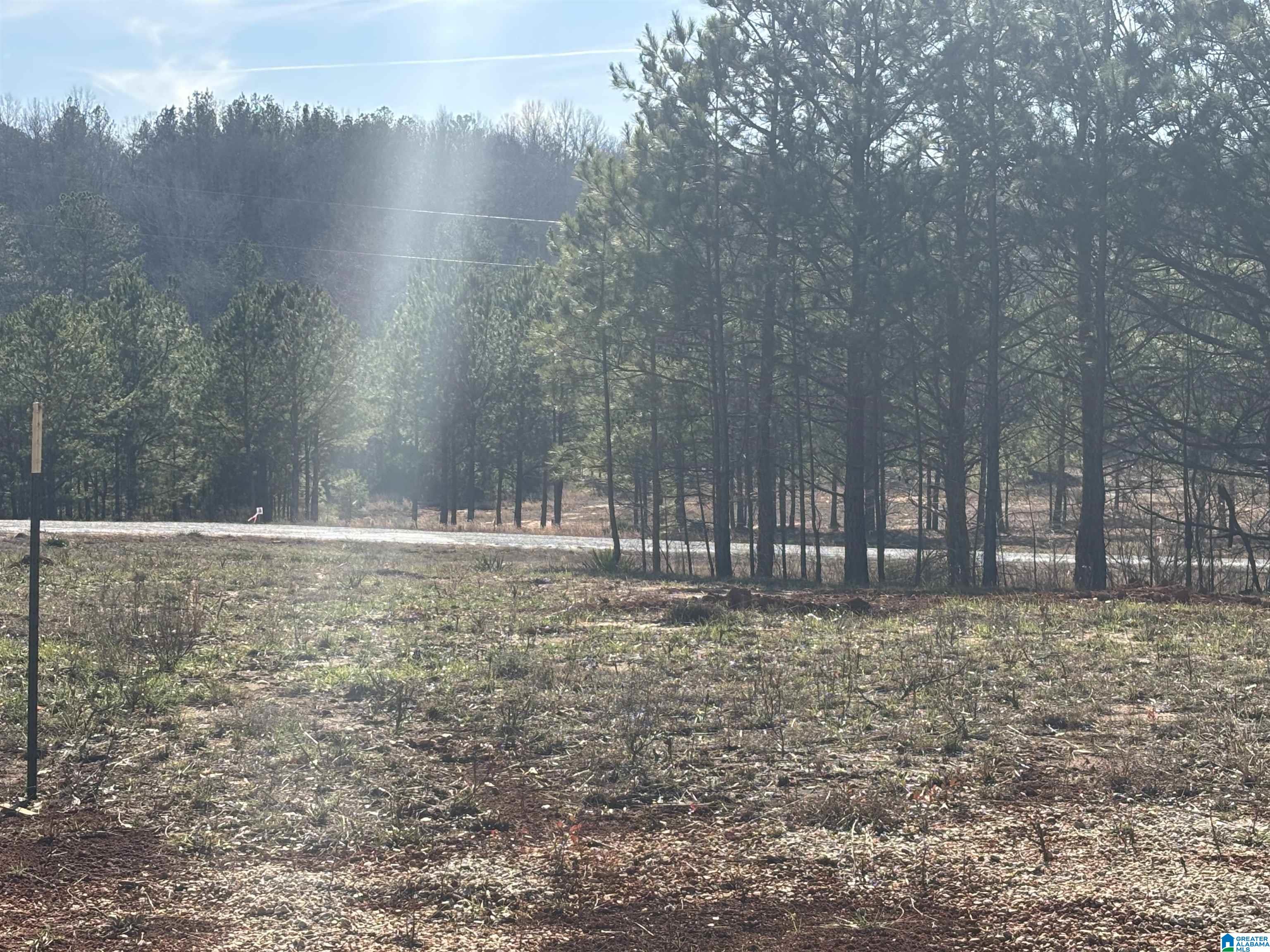 Homes for sale in Woodland, AL | Lot 11 County Road 499, Woodland, AL 36280 | MLS# 21441383