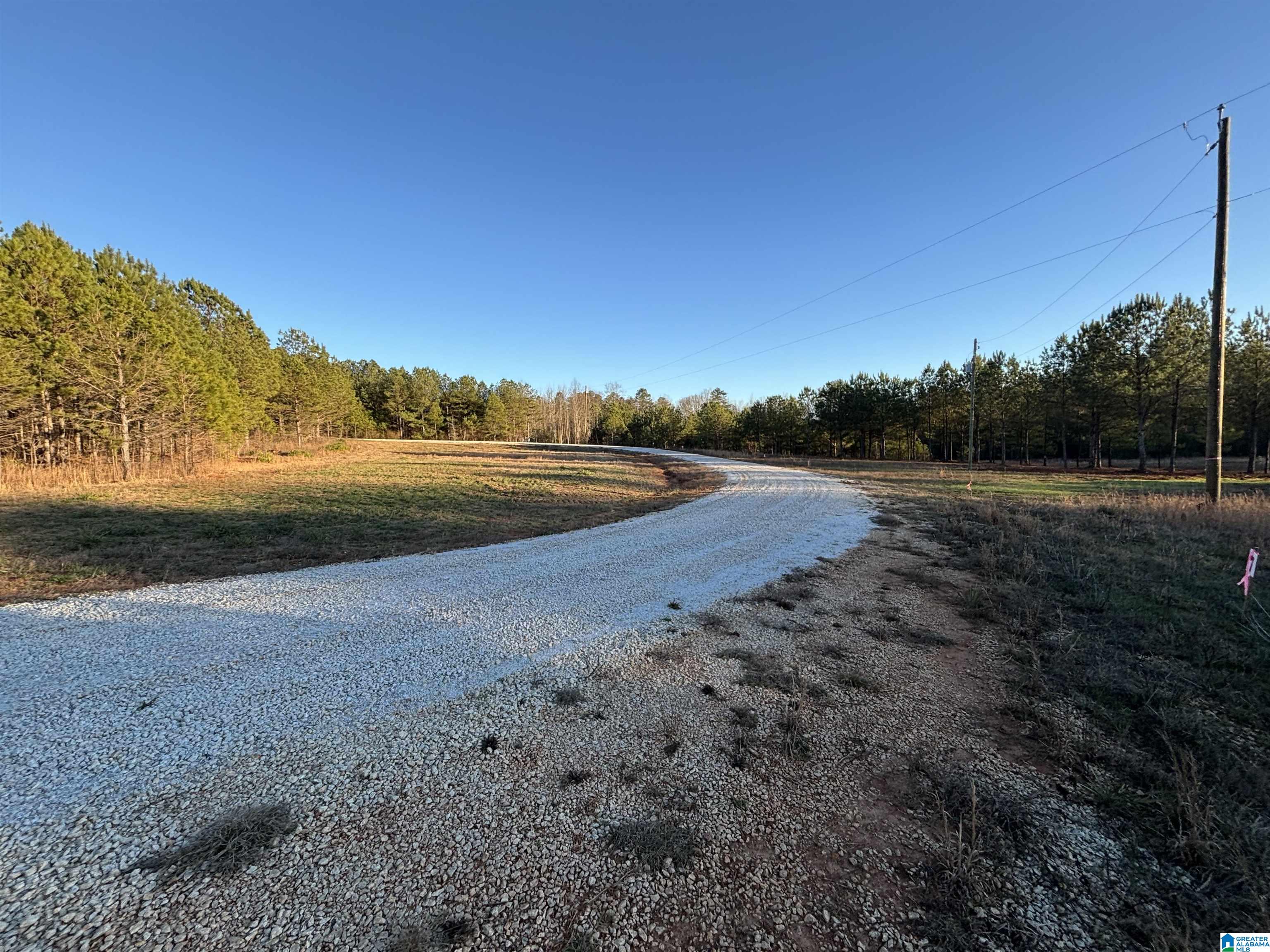 Homes for sale in Woodland, AL | Lot 11 County Road 499, Woodland, AL 36280 | MLS# 21441383