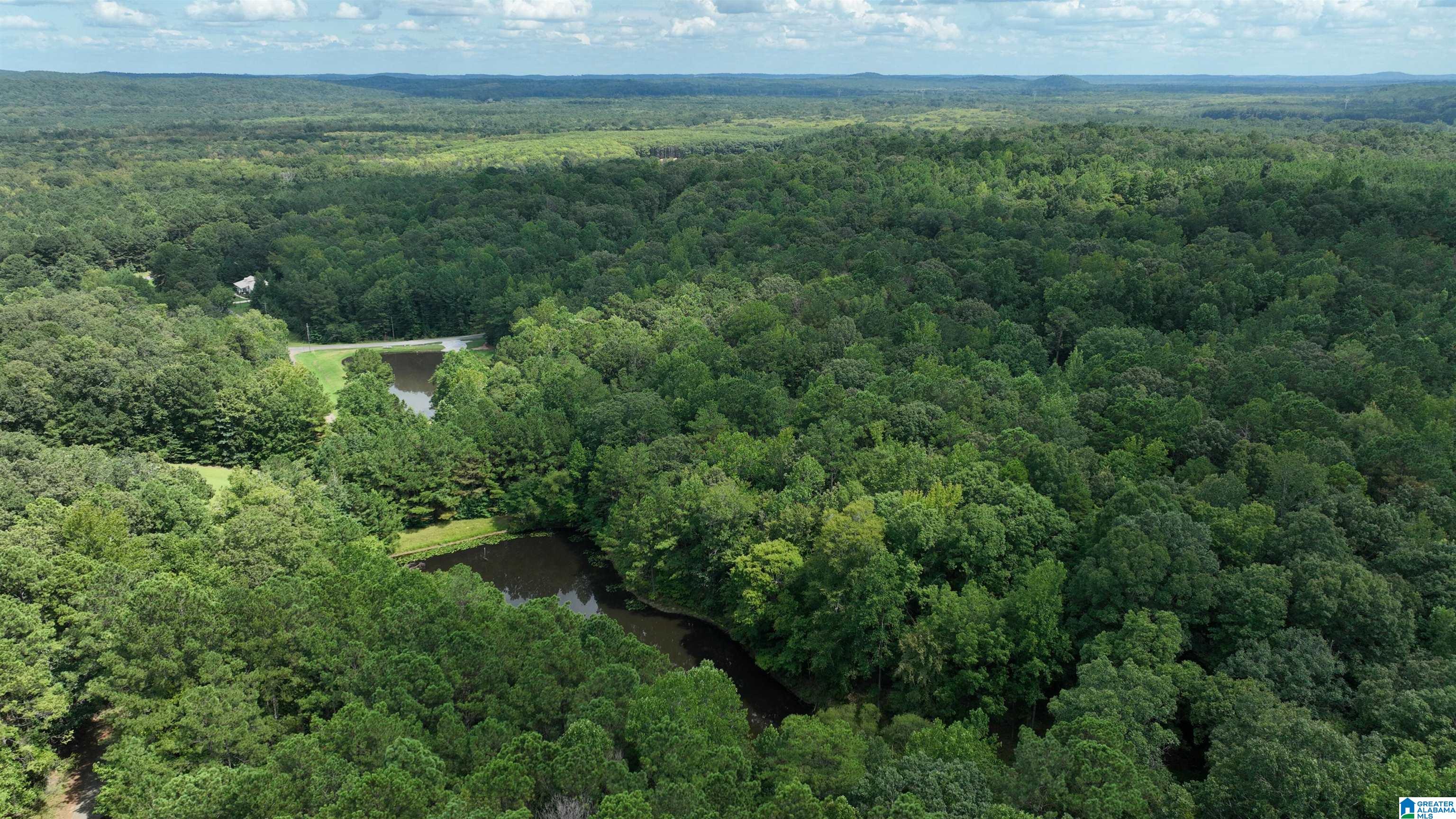 Homes for sale in Fayette, AL | 0 Oak Creek Road, Fayette, AL 35555 | MLS# 21441390