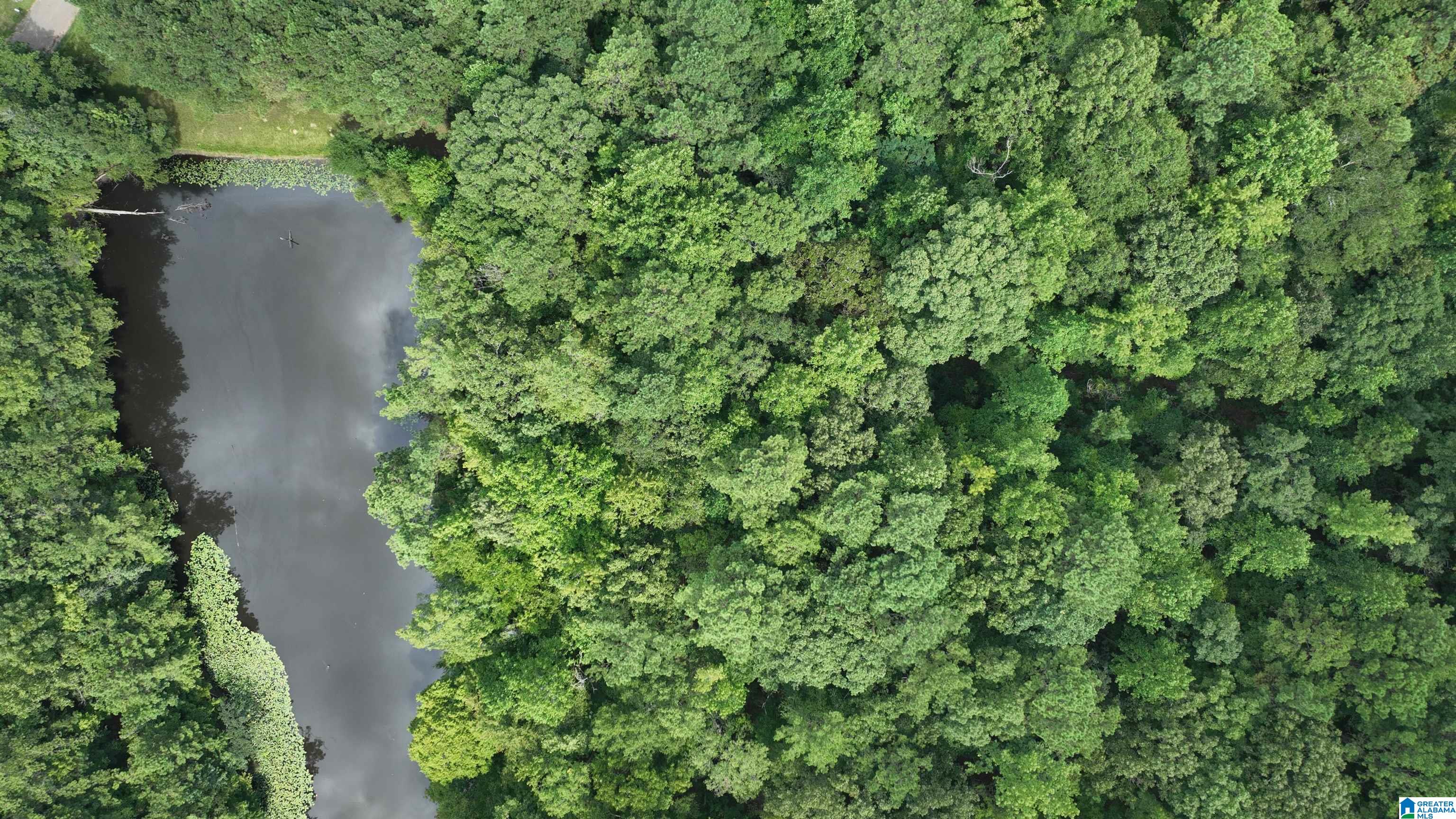 Homes for sale in Fayette, AL | 0 Oak Creek Road, Fayette, AL 35555 | MLS# 21441390