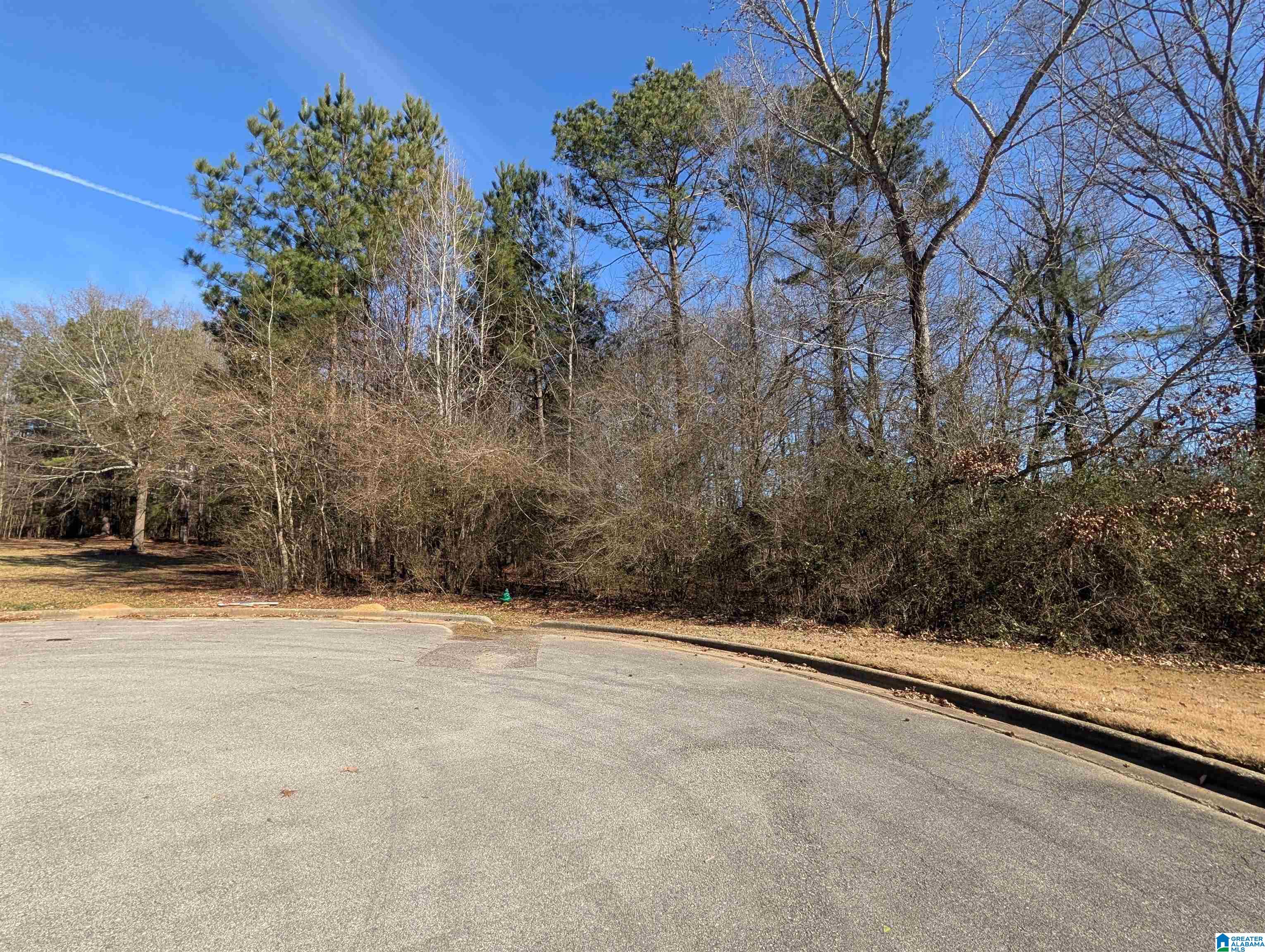 Homes for sale in Oxford, AL | 0 Manor Pl, Oxford, AL 36203 | MLS# 21441394