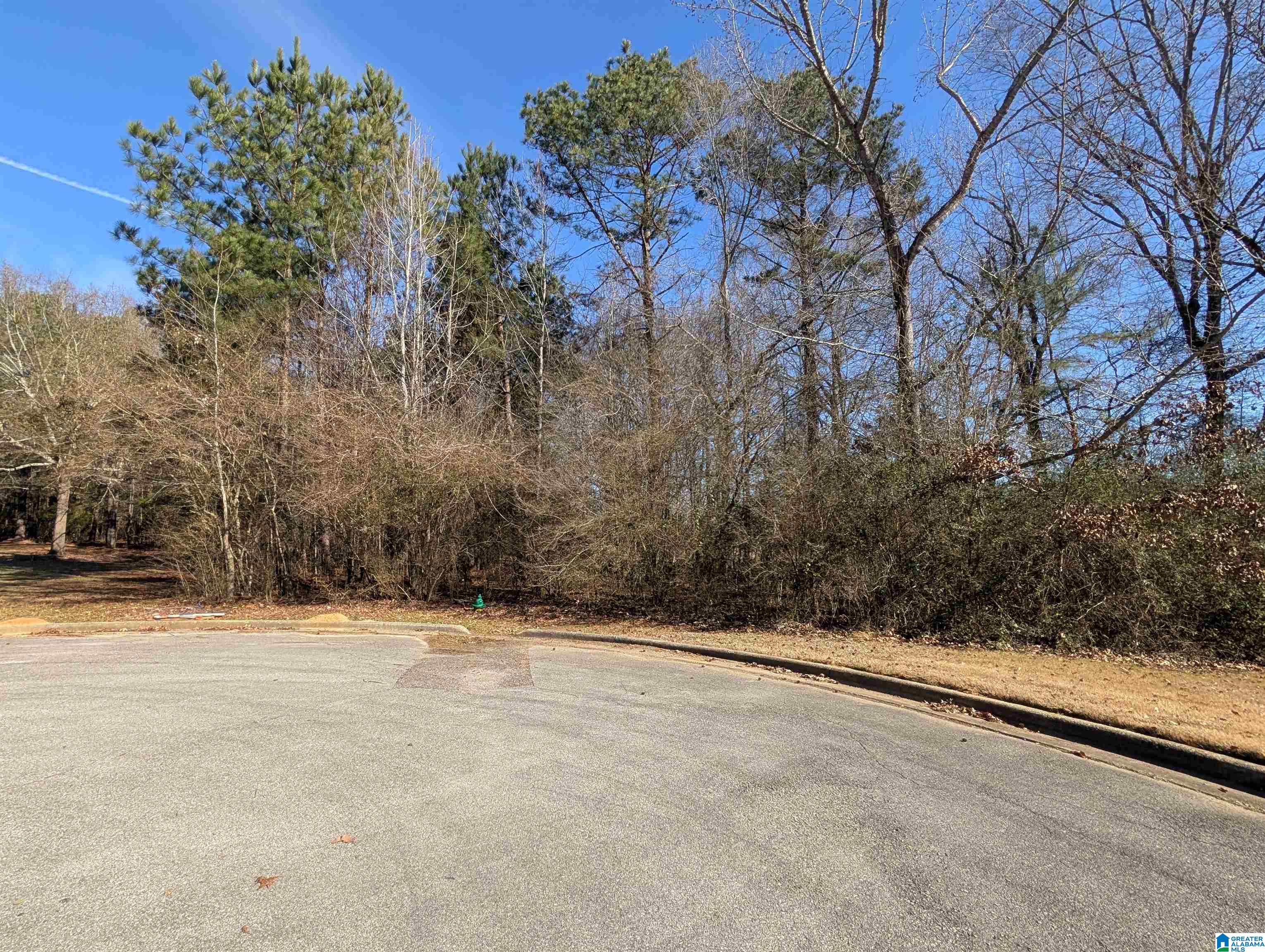 Homes for sale in Oxford, AL | 0 Manor Pl, Oxford, AL 36203 | MLS# 21441394