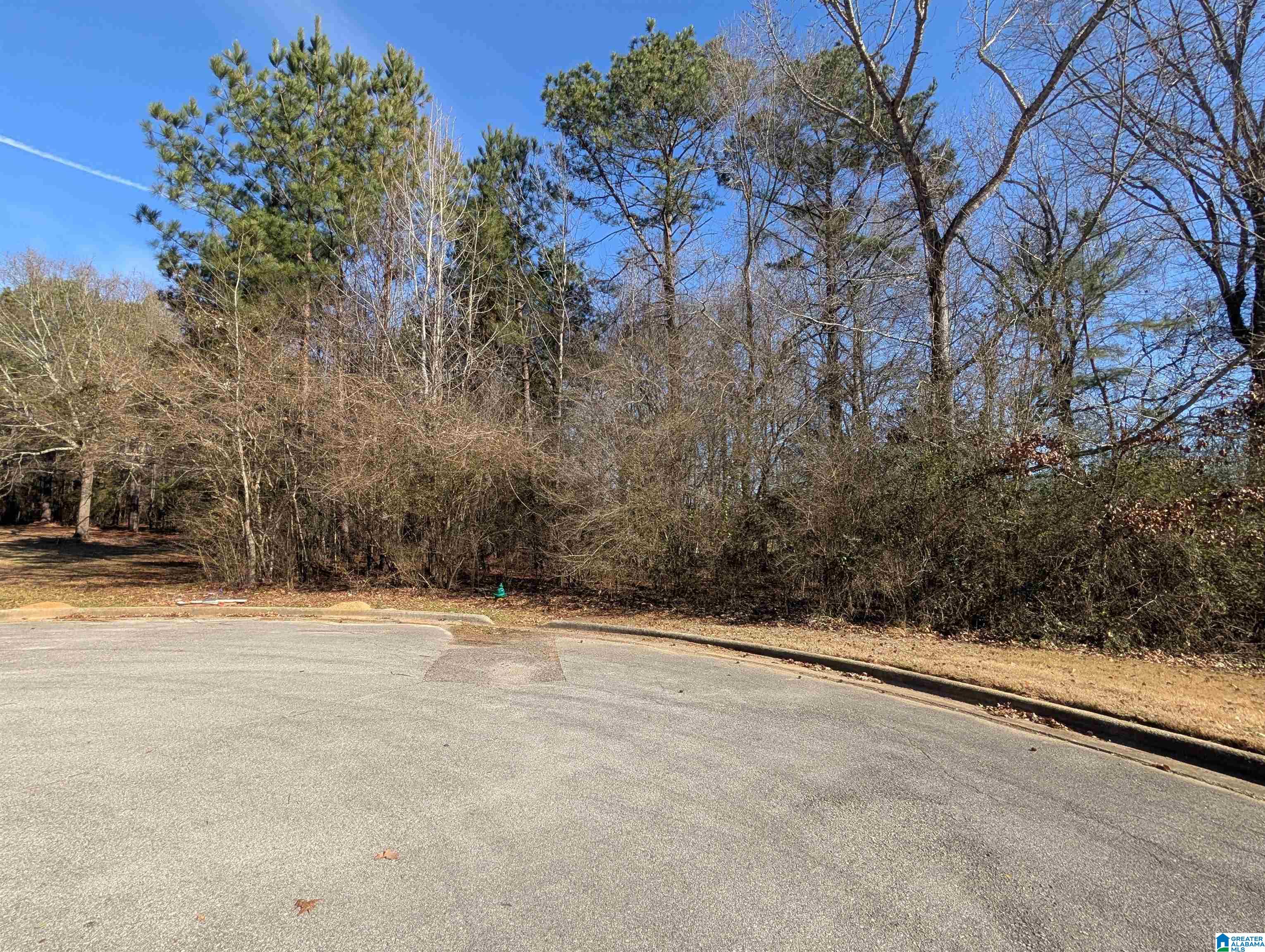 Homes for sale in Oxford, AL | 0 Manor Pl, Oxford, AL 36203 | MLS# 21441394