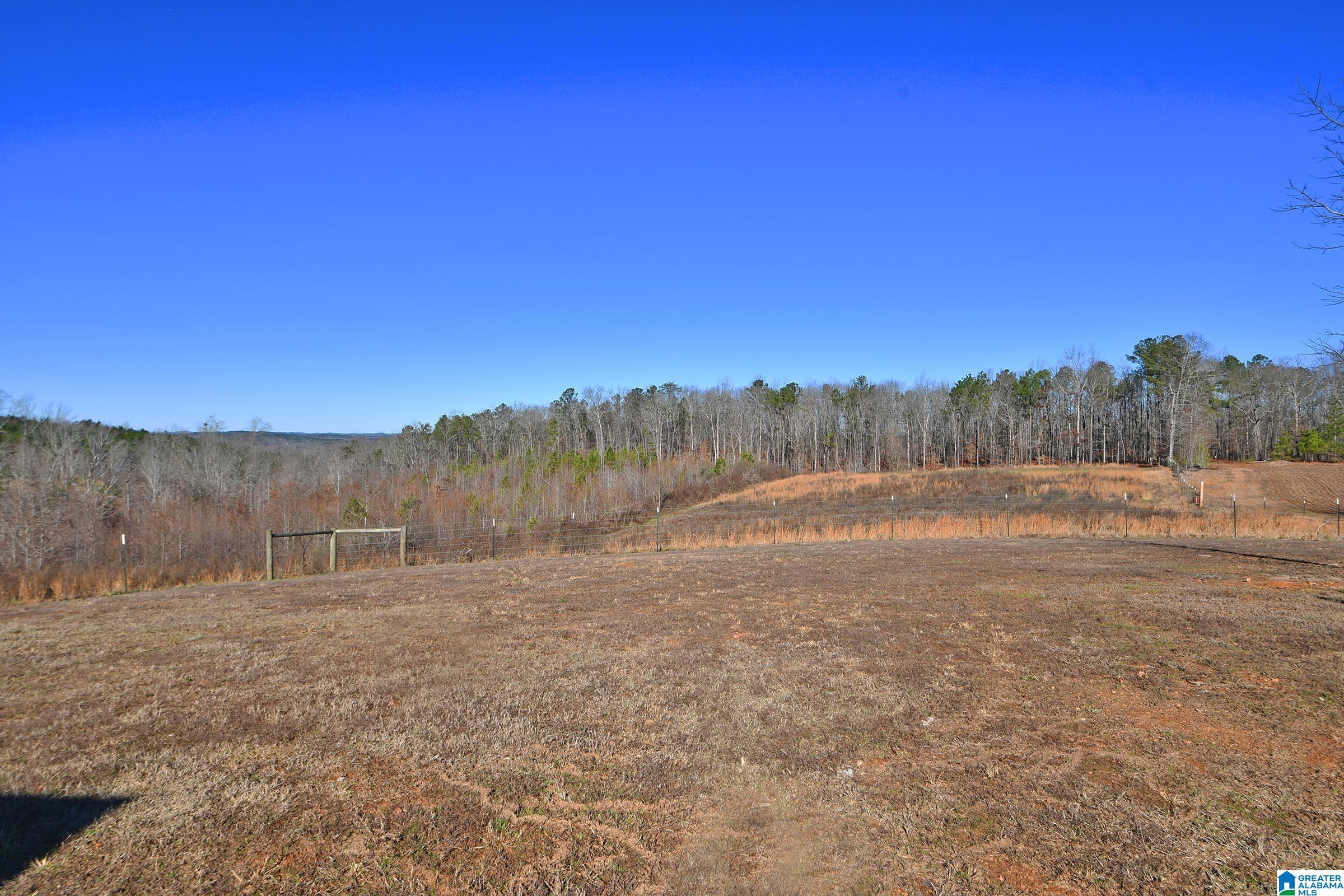 Homes for sale in Cragford, AL | 1442 Bluff Valley Road, Cragford, AL 36255 | MLS# 21441398