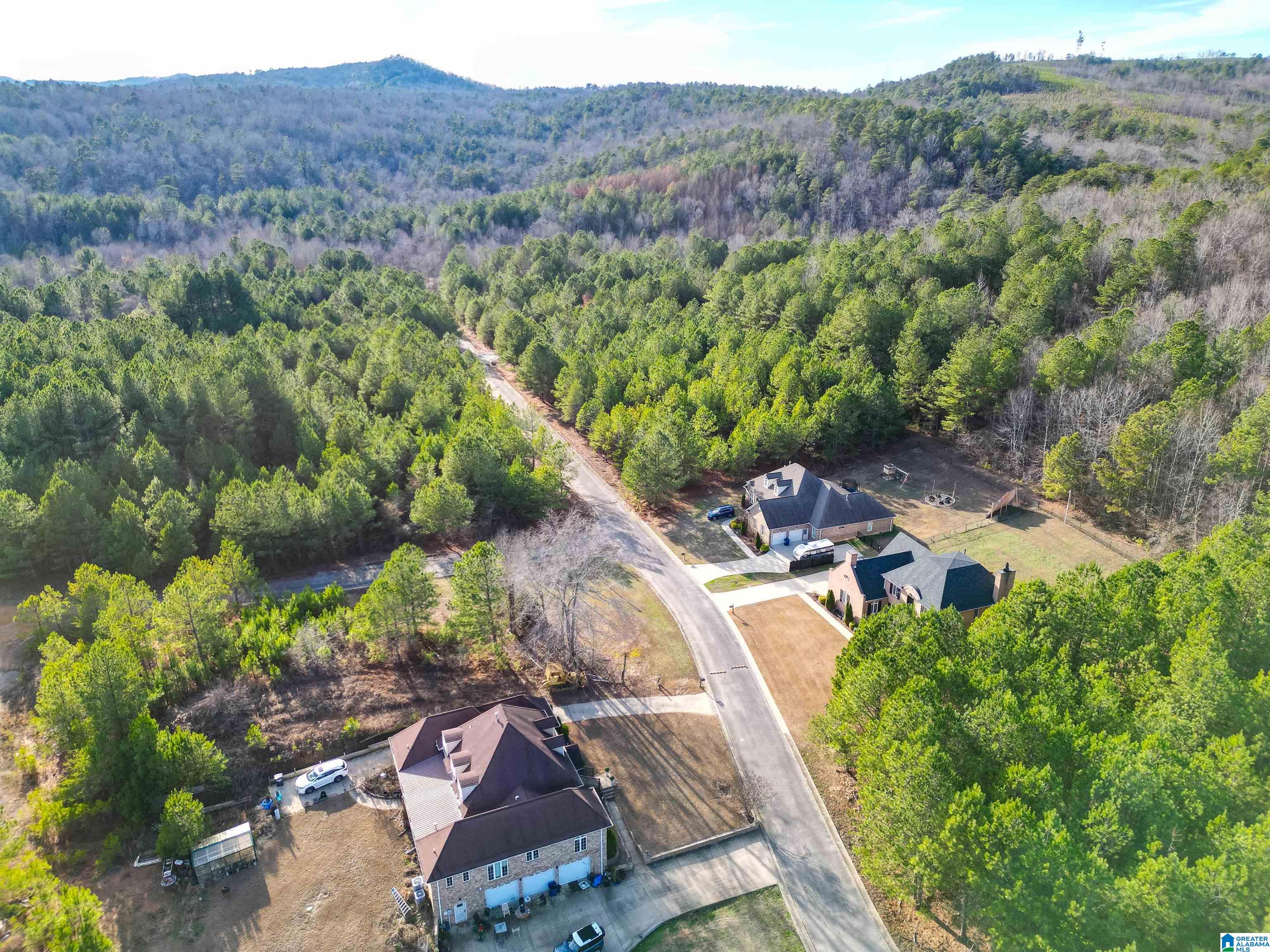 Homes for sale in Pell City, AL | 0 Cleveland Farms Parkway, Pell City, AL 35125 | MLS# 21441450