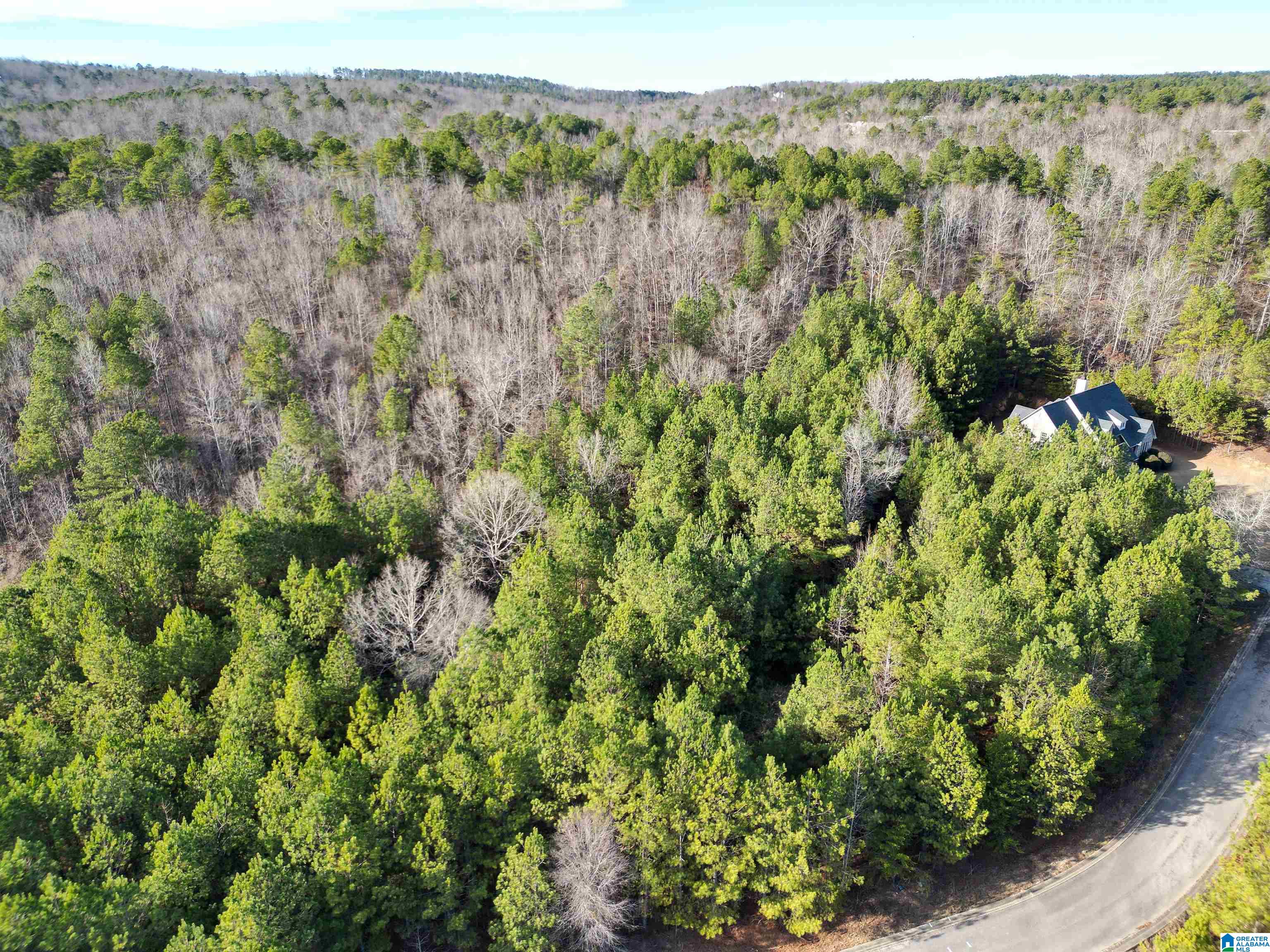 Homes for sale in Pell City, AL | 0 Cleveland Farms Parkway, Pell City, AL 35125 | MLS# 21441450