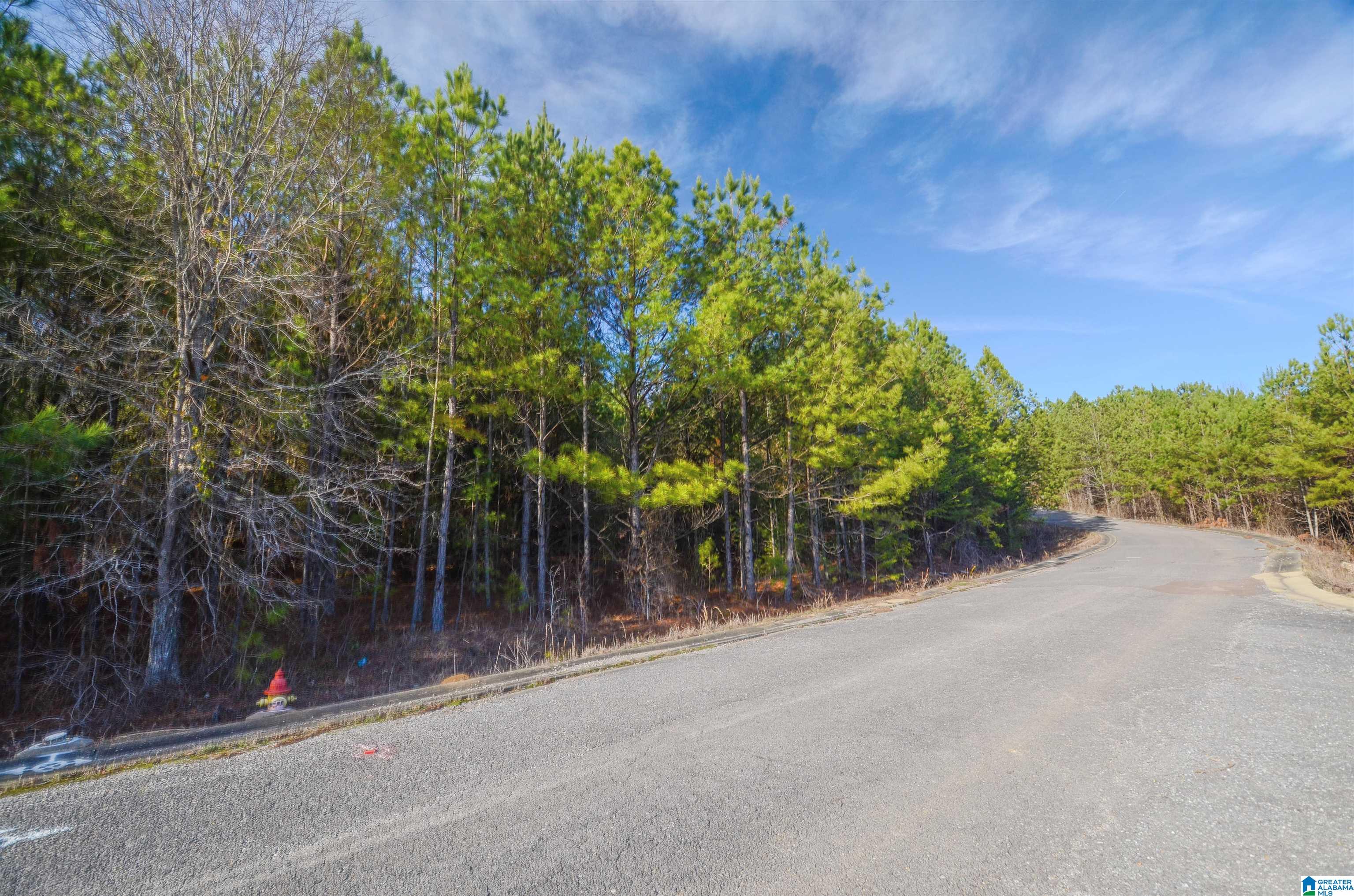 Homes for sale in Pell City, AL | 0 Cleveland Farms Parkway, Pell City, AL 35125 | MLS# 21441450