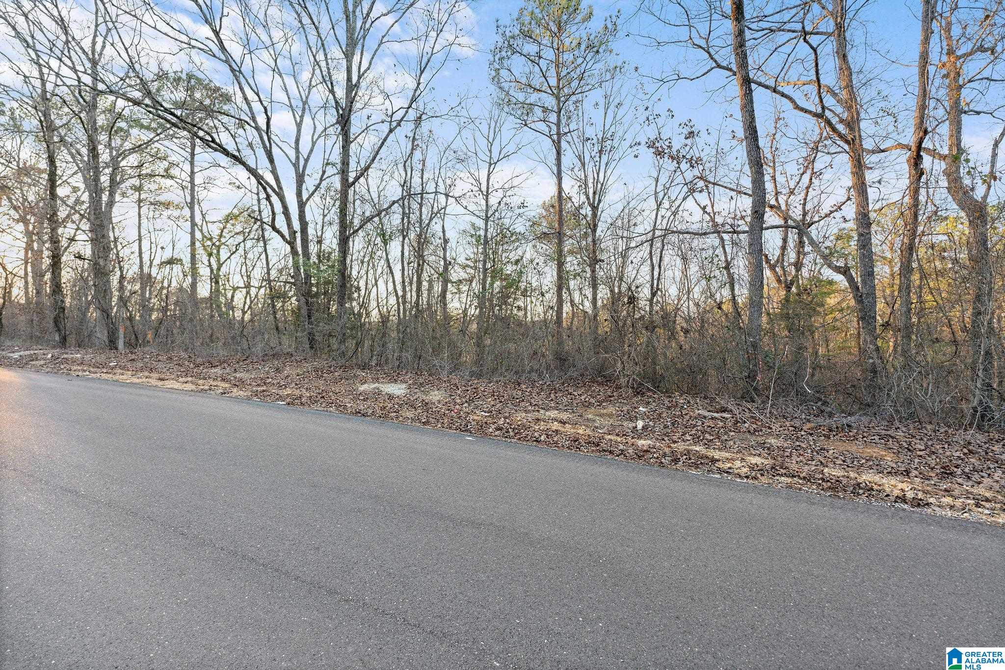 Homes for sale in Vance, AL | 27 Mountain View Lane, Vance, AL 35490 | MLS# 21441463