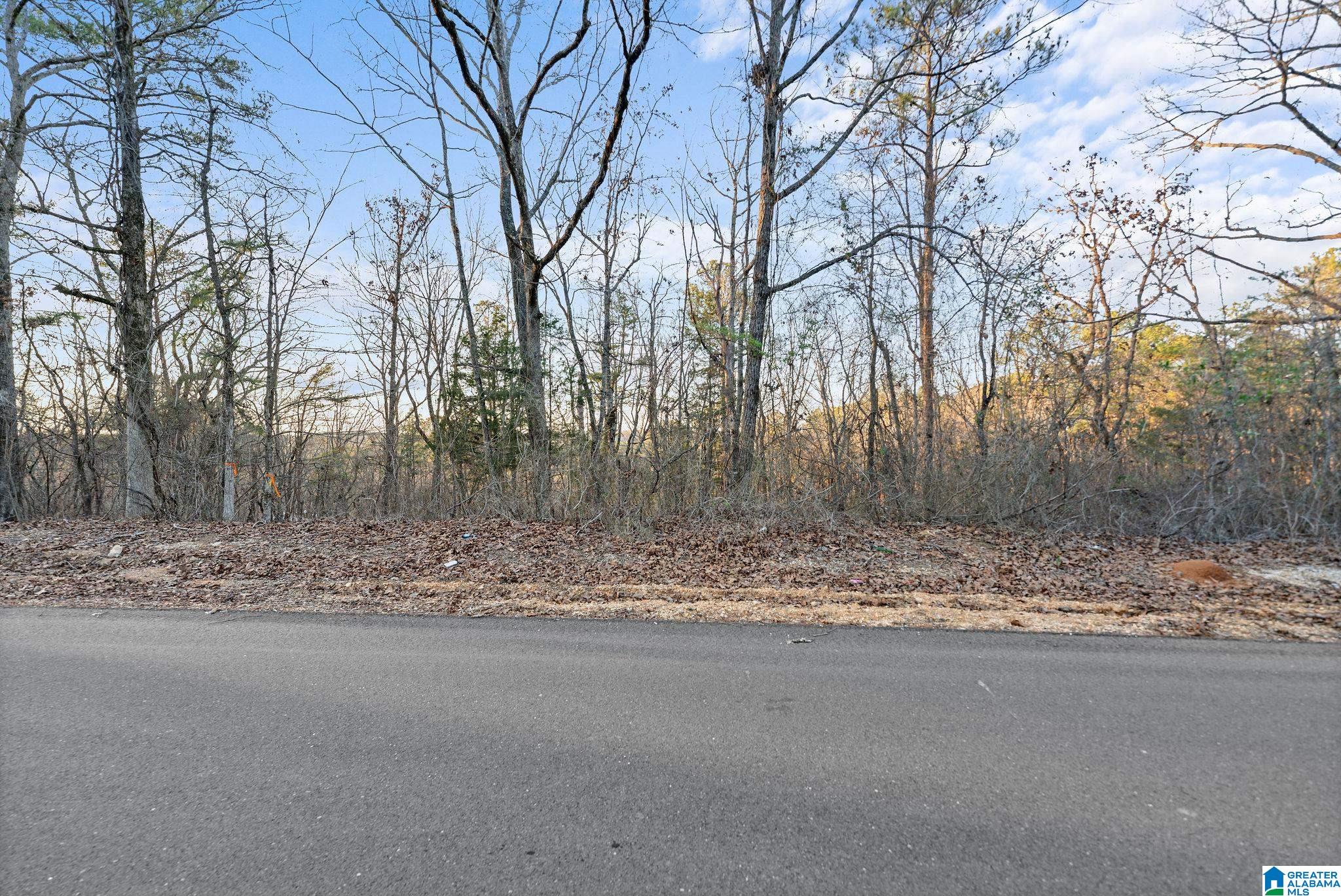 Homes for sale in Vance, AL | 27 Mountain View Lane, Vance, AL 35490 | MLS# 21441463