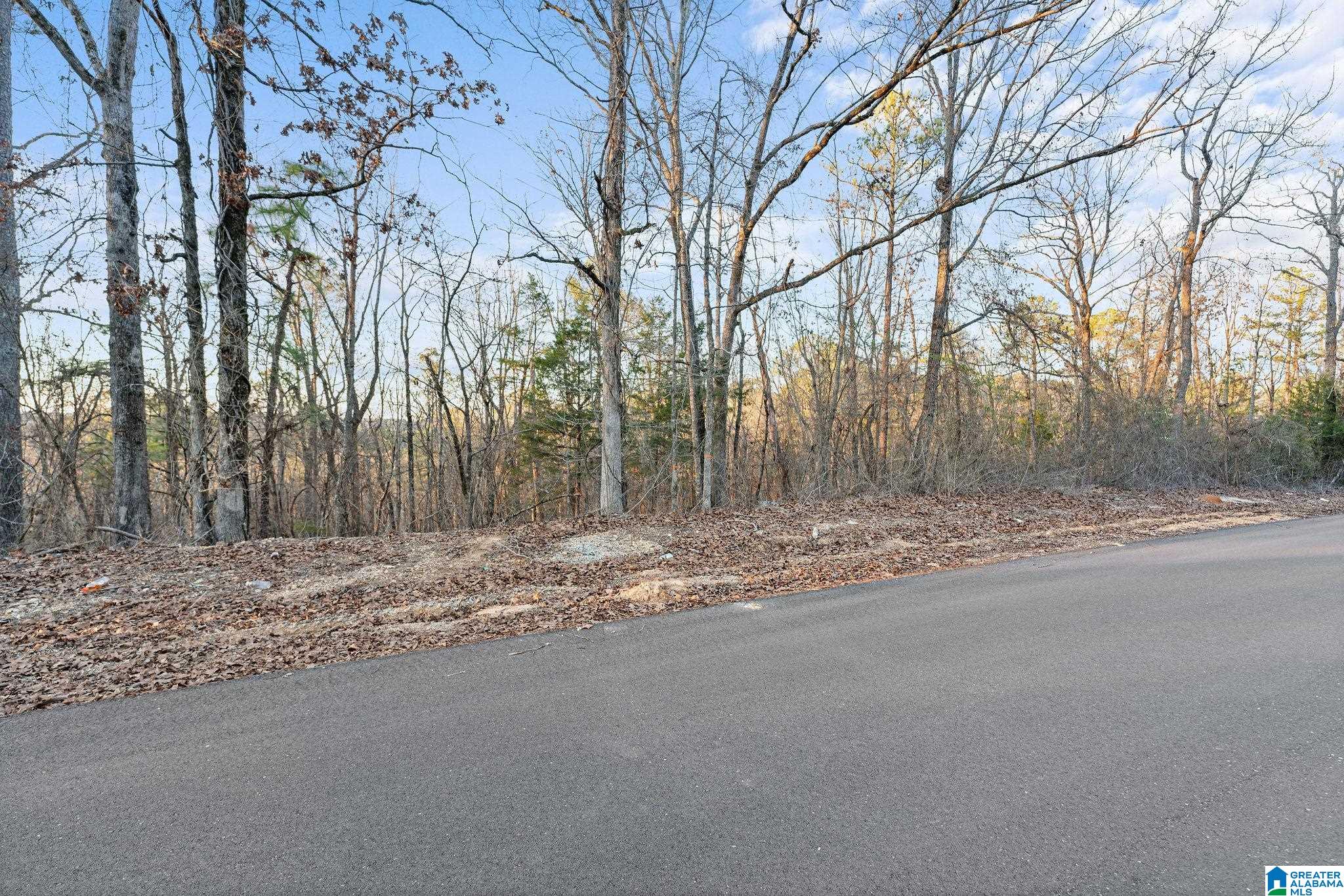 Homes for sale in Vance, AL | 27 Mountain View Lane, Vance, AL 35490 | MLS# 21441463