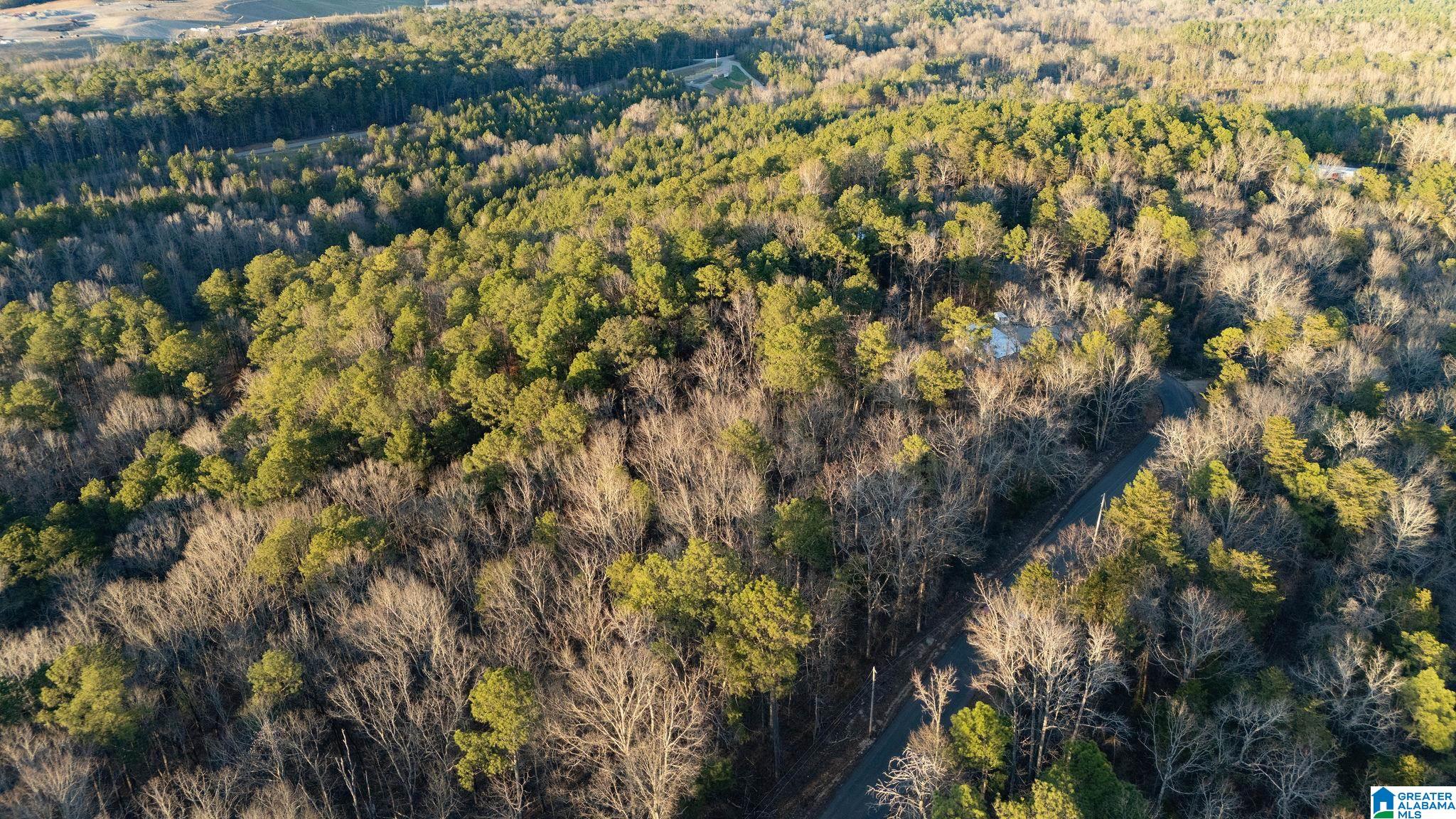 Homes for sale in Vance, AL | 27 Mountain View Lane, Vance, AL 35490 | MLS# 21441463