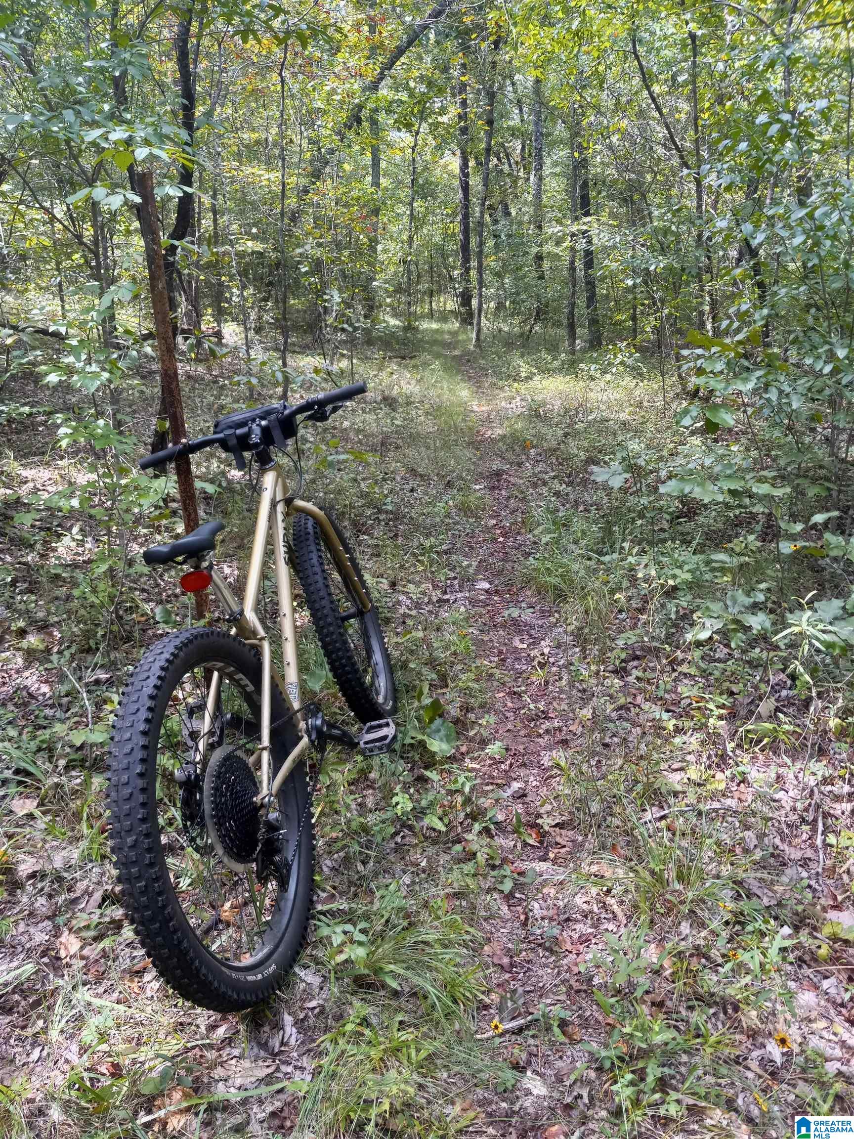 Homes for sale in Pell City, AL | 0 Kanasita Dr, Pell City, AL 35128 | MLS# 21441467