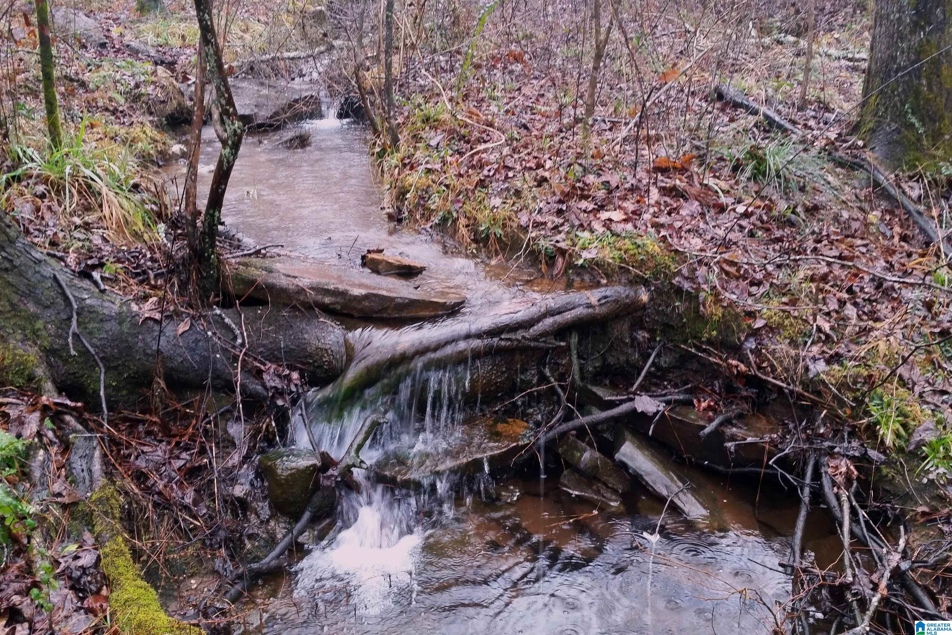 Homes for sale in Pell City, AL | 0 Kanasita Dr, Pell City, AL 35128 | MLS# 21441467