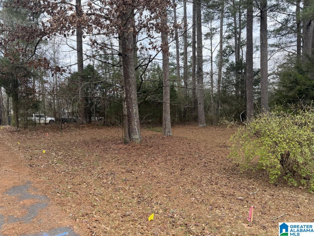 Homes for sale in Pell City, AL | 433 6th Street N, Pell City, AL 35125 | MLS# 21441469