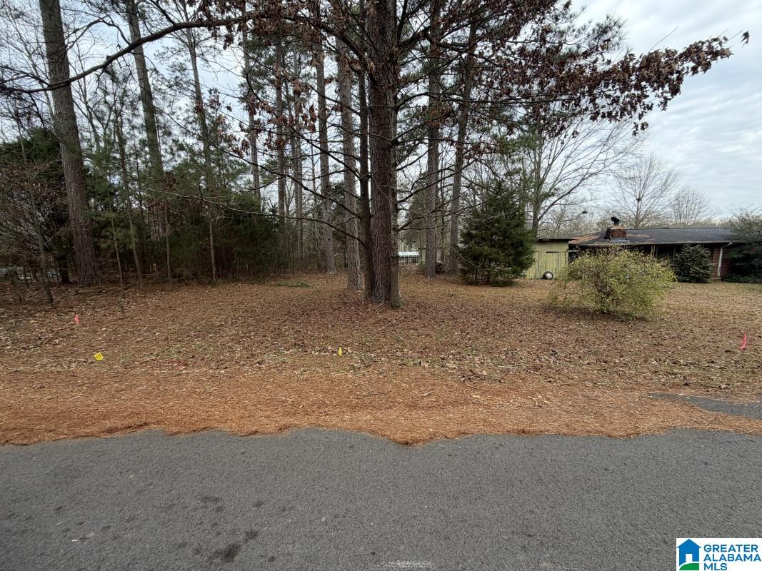 Homes for sale in Pell City, AL | 433 6Th Street N, Pell City, AL 35125 | MLS# 21441469