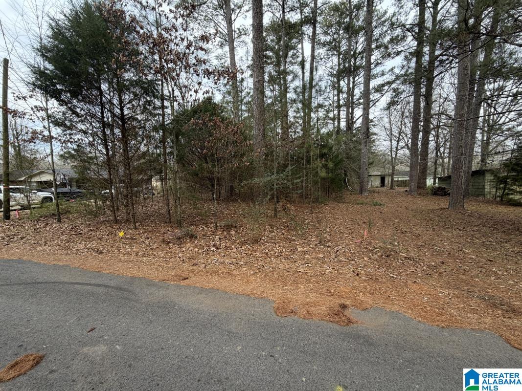 Homes for sale in Pell City, AL | 433 6Th Street N, Pell City, AL 35125 | MLS# 21441469