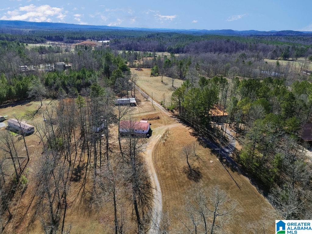 Homes for sale in Ohatchee, AL | 2190 Gilberts Ferry Road, Ohatchee, AL 36271 | MLS# 21441487