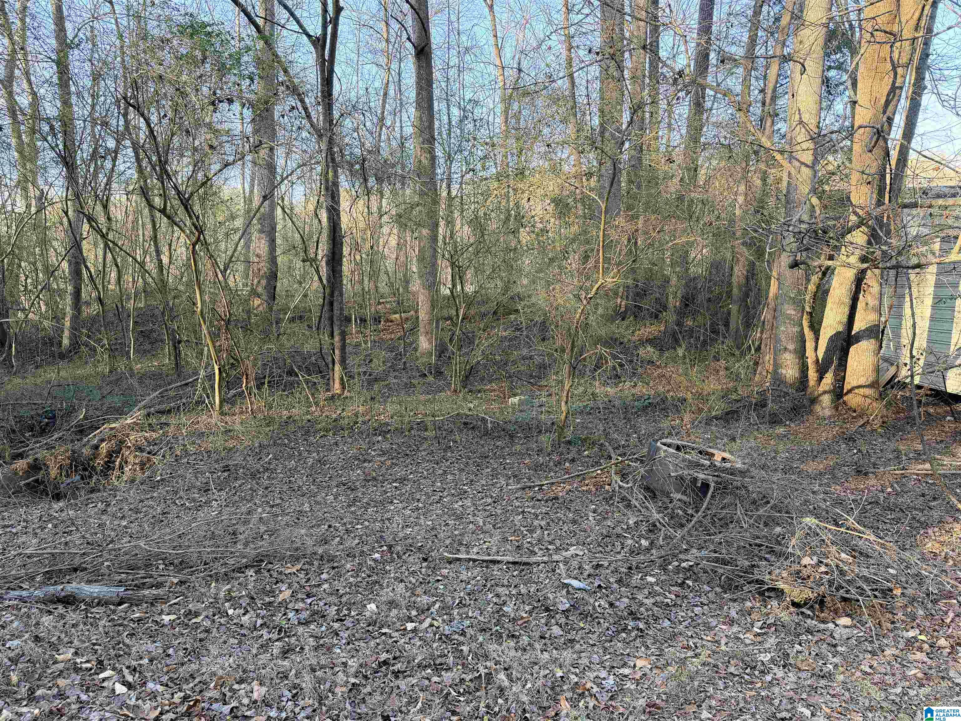 Homes for sale in Cordova, AL | 001 Scott Road, Cordova, AL 35550 | MLS# 21441498