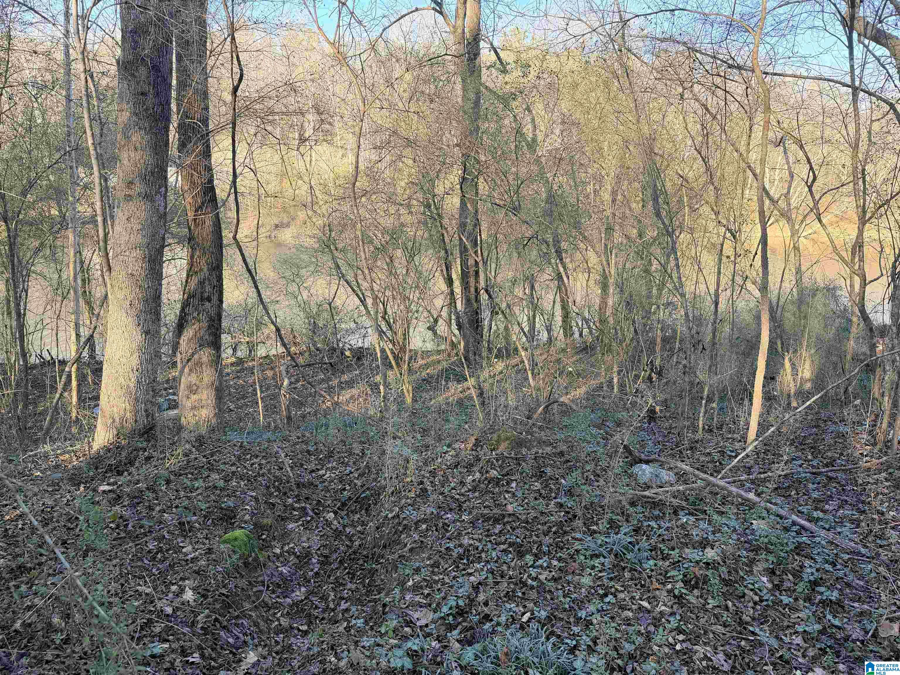 Homes for sale in Cordova, AL | 001 Scott Road, Cordova, AL 35550 | MLS# 21441498