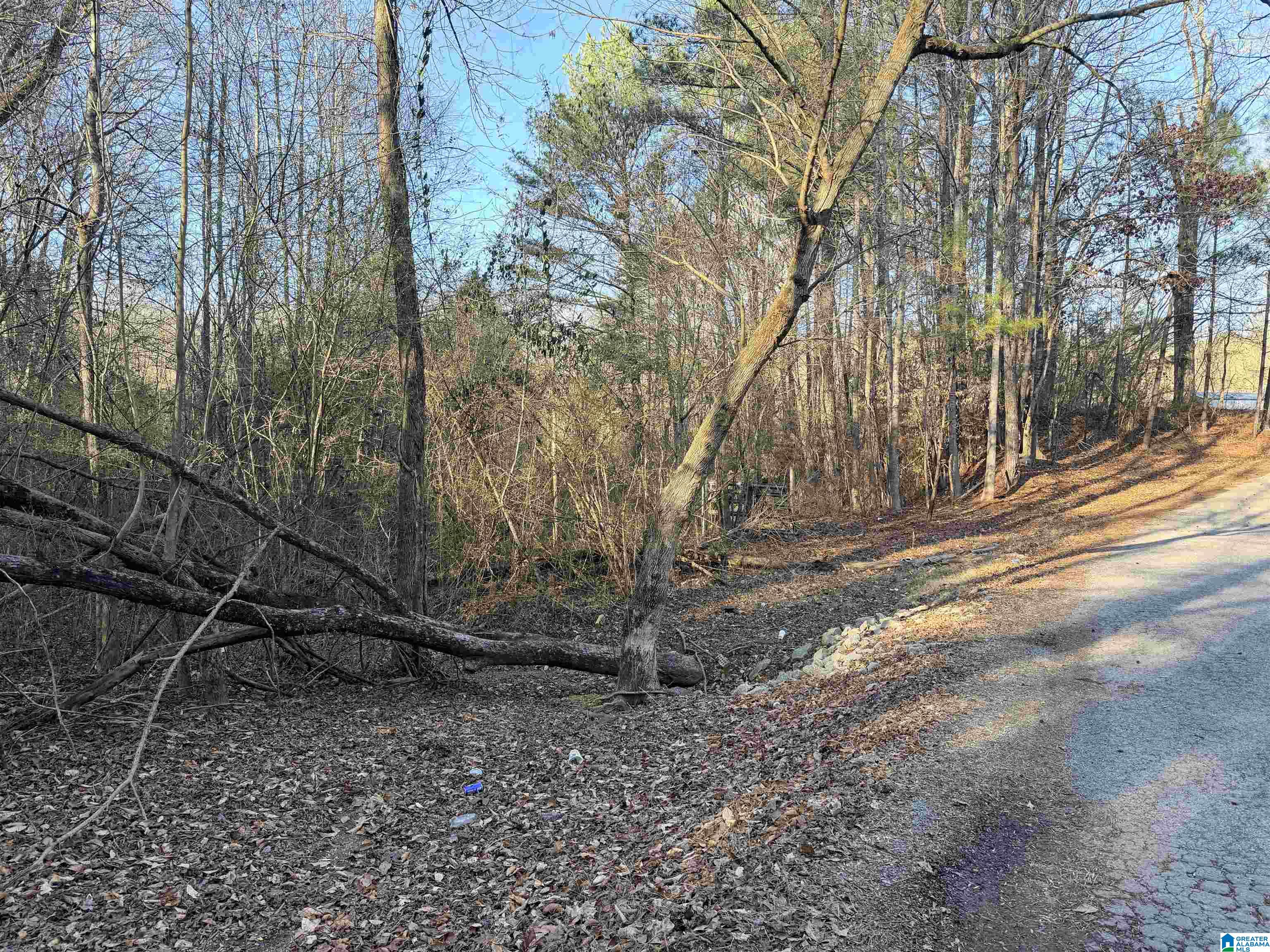 Homes for sale in Cordova, AL | 002 Scott Road, Cordova, AL 35550 | MLS# 21441504