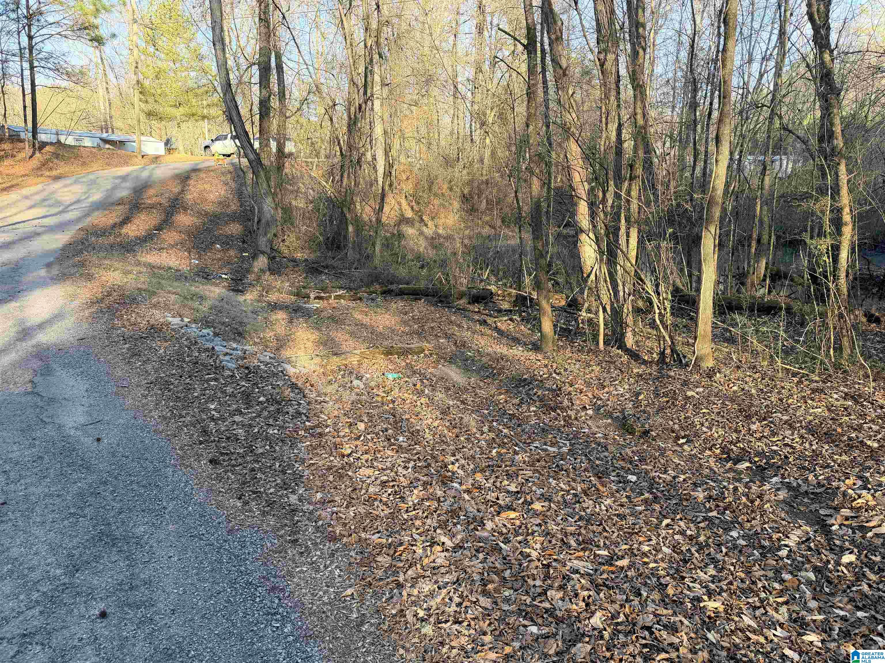 Homes for sale in Cordova, AL | 002 Scott Road, Cordova, AL 35550 | MLS# 21441504