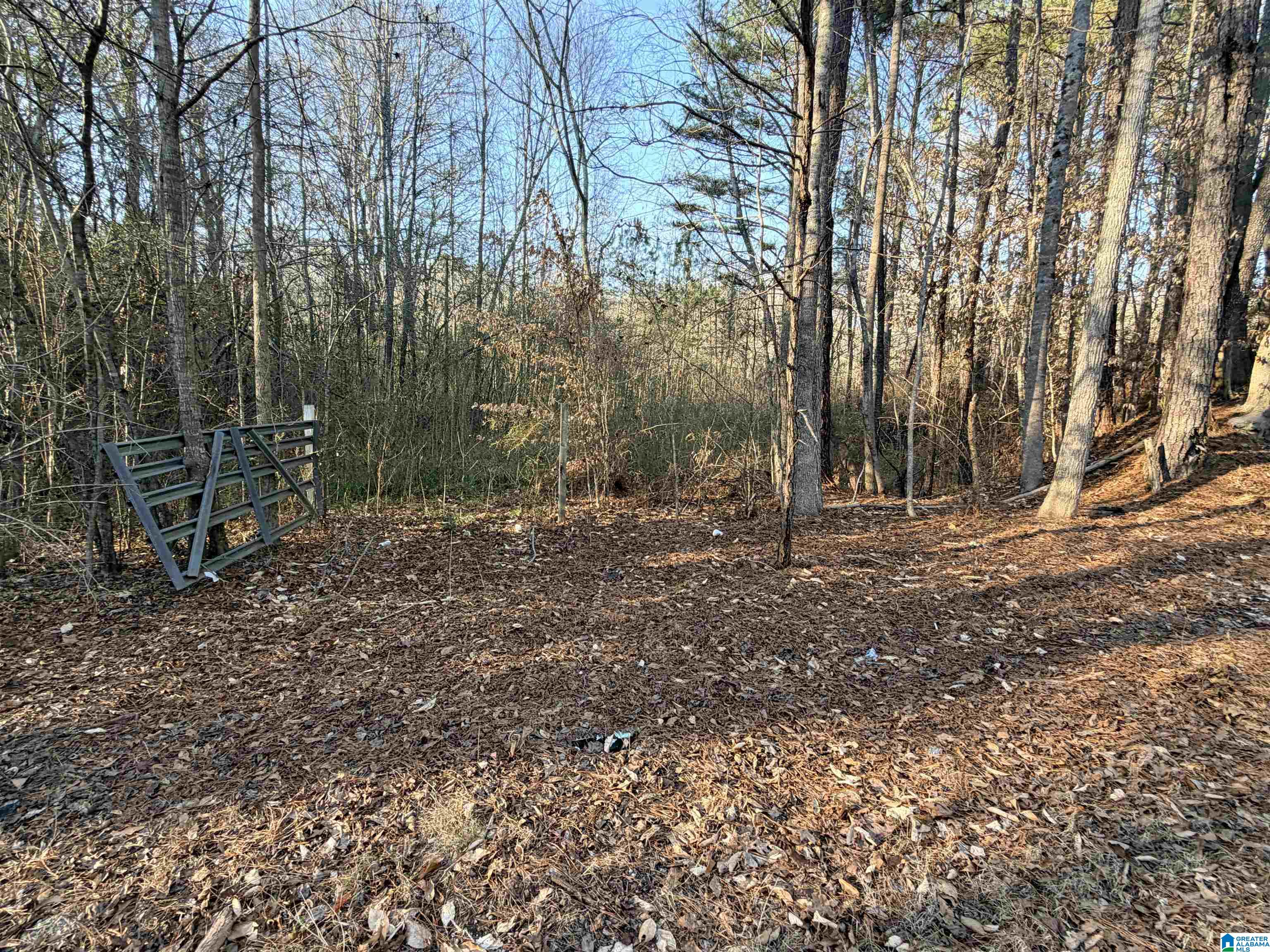 Homes for sale in Cordova, AL | 002 Scott Road, Cordova, AL 35550 | MLS# 21441504