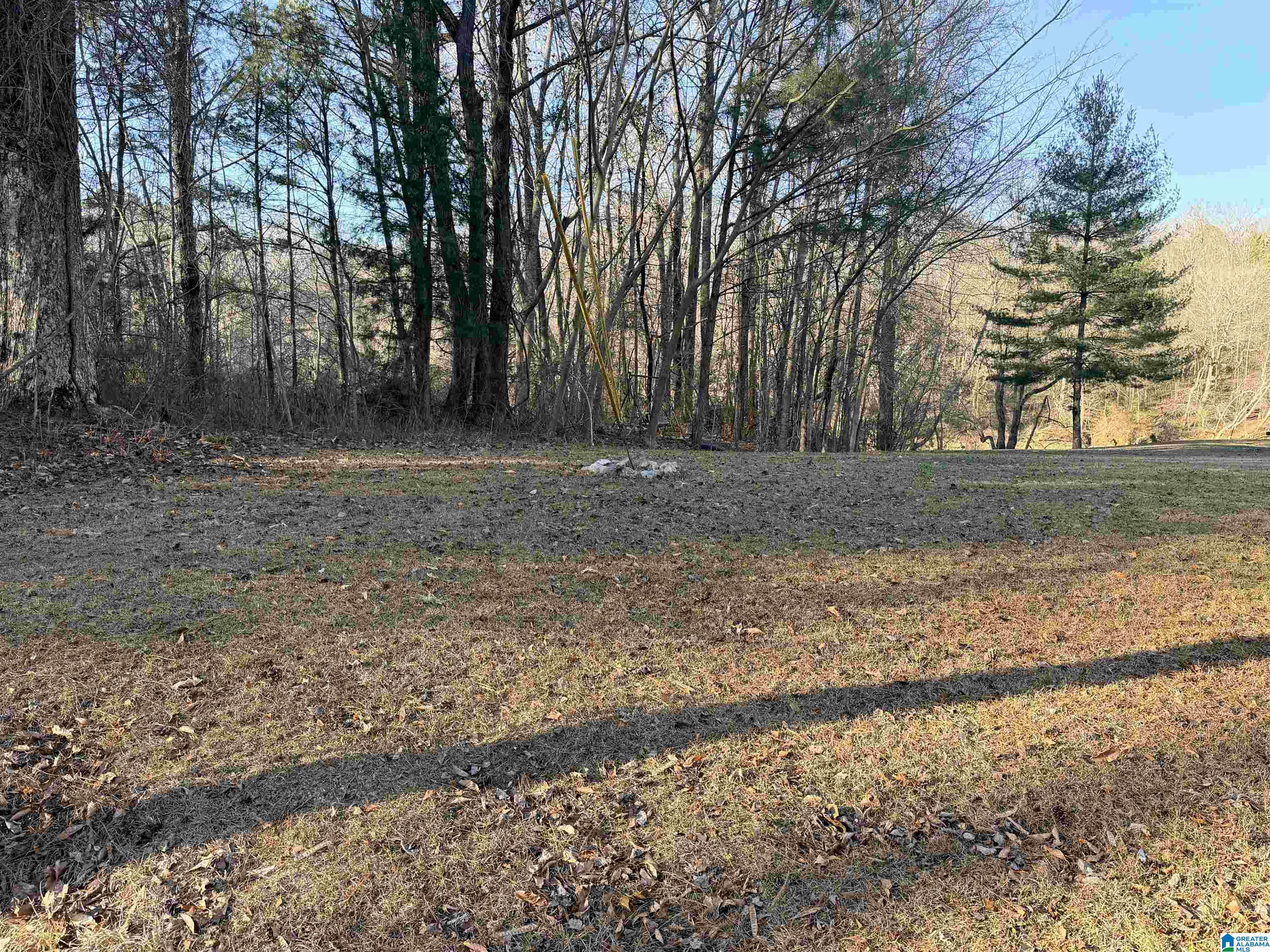 Homes for sale in Cordova, AL | 002 Scott Road, Cordova, AL 35550 | MLS# 21441504