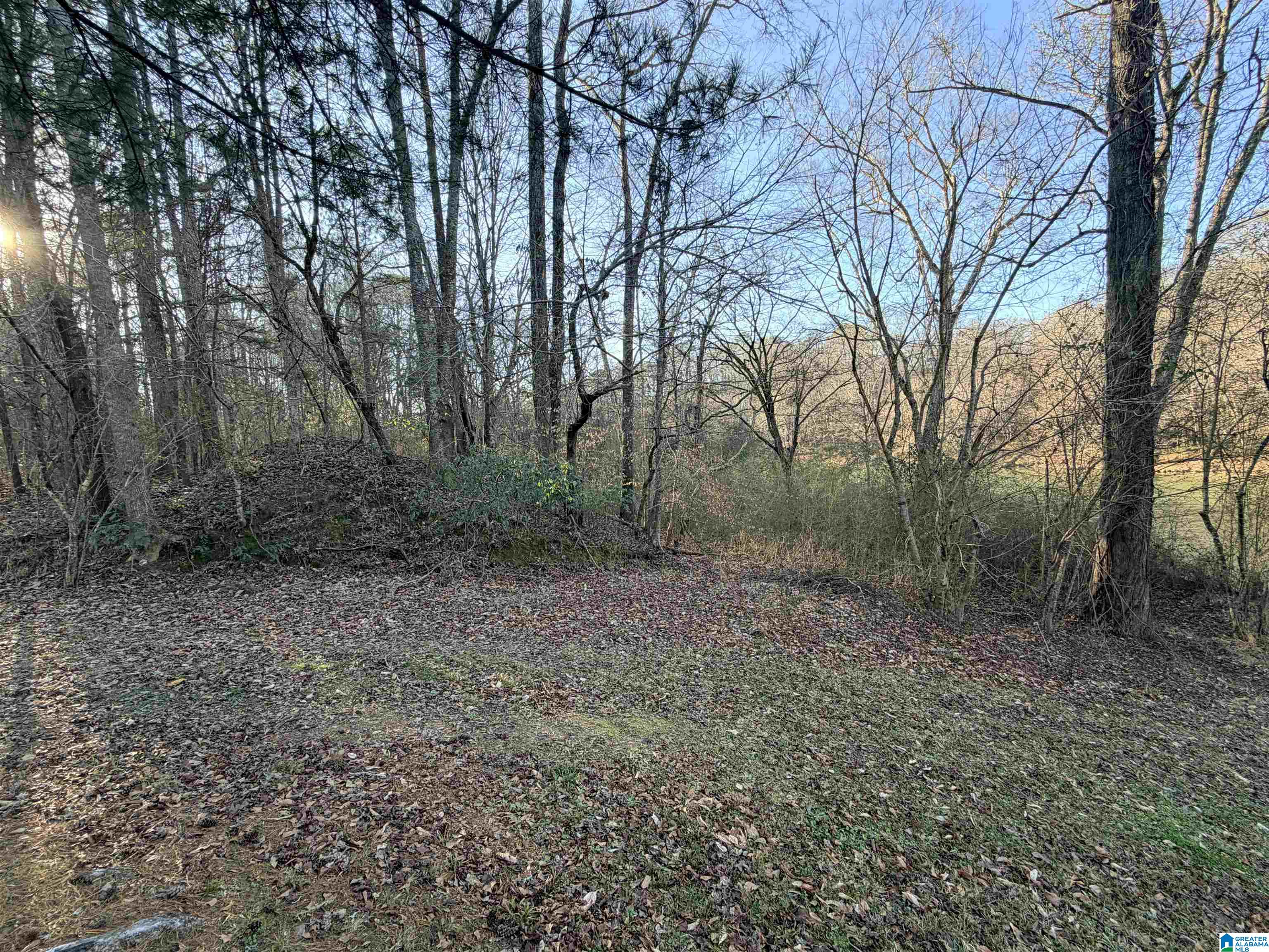 Homes for sale in Cordova, AL | 002 Scott Road, Cordova, AL 35550 | MLS# 21441504