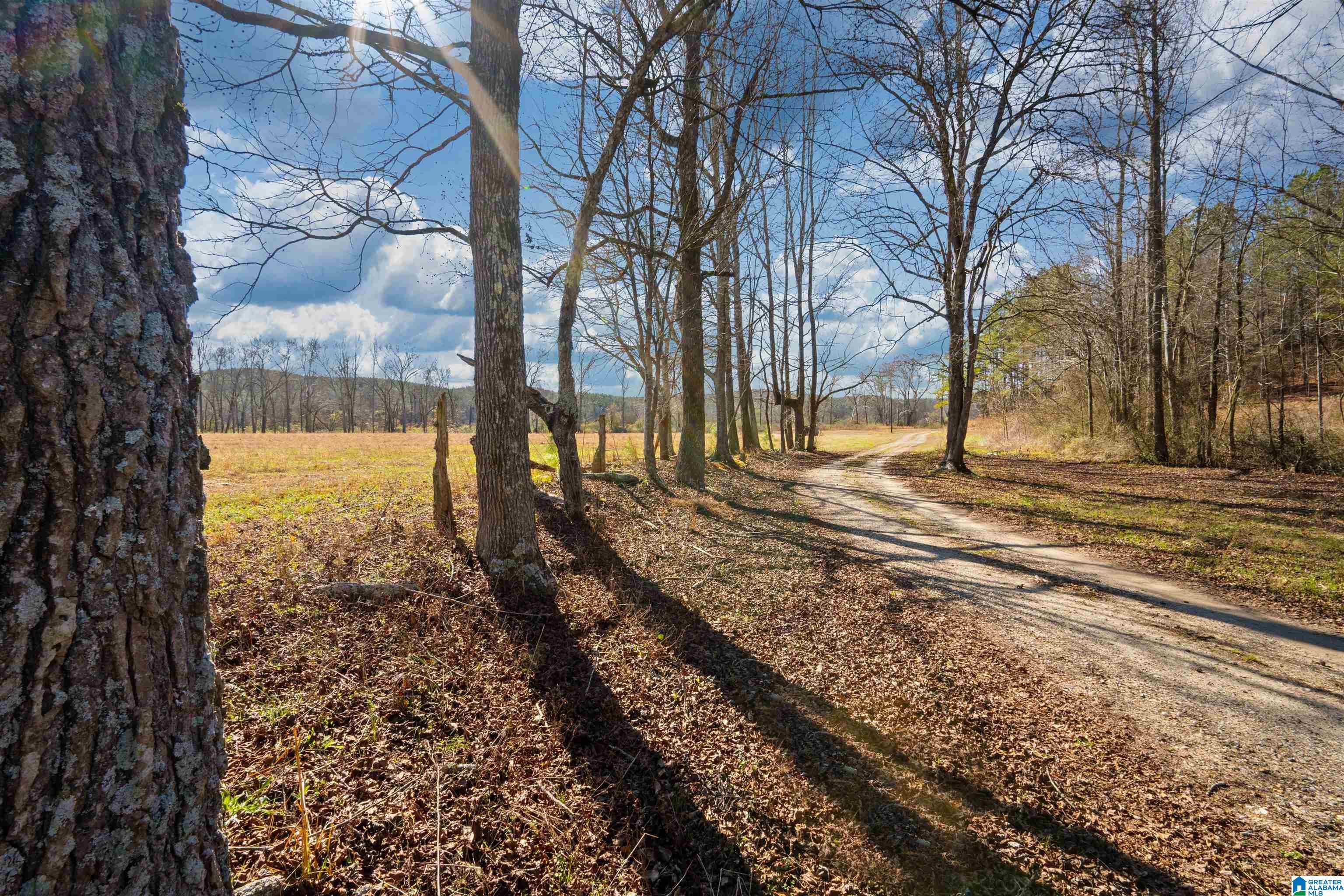 Homes for sale in Heflin, AL | 625 County Road 454, Heflin, AL 36264 | MLS# 21441516