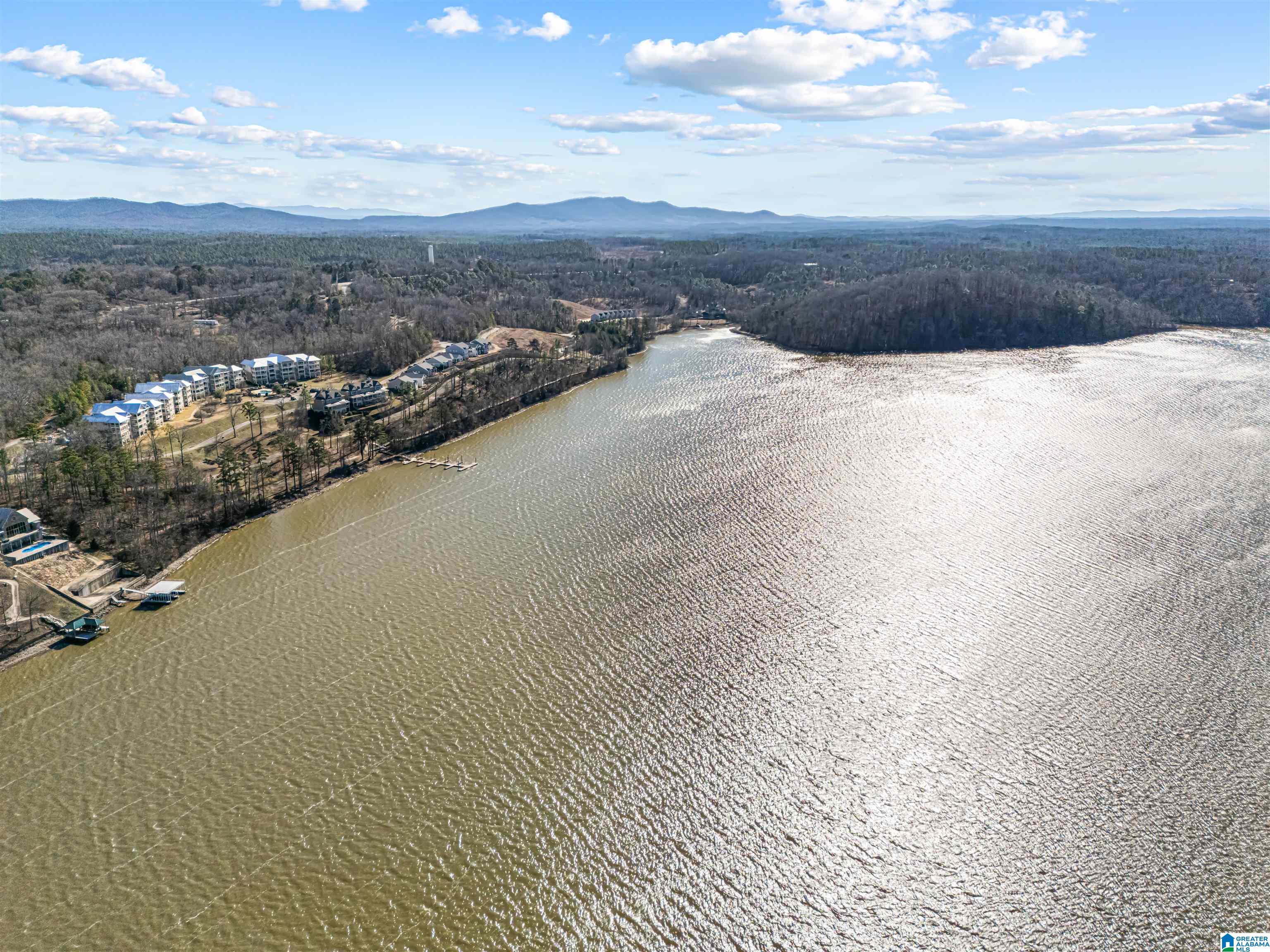 Homes for sale in Talladega, AL | 475 River Forest Lane #1140, Talladega, AL 35160 | MLS# 21441589