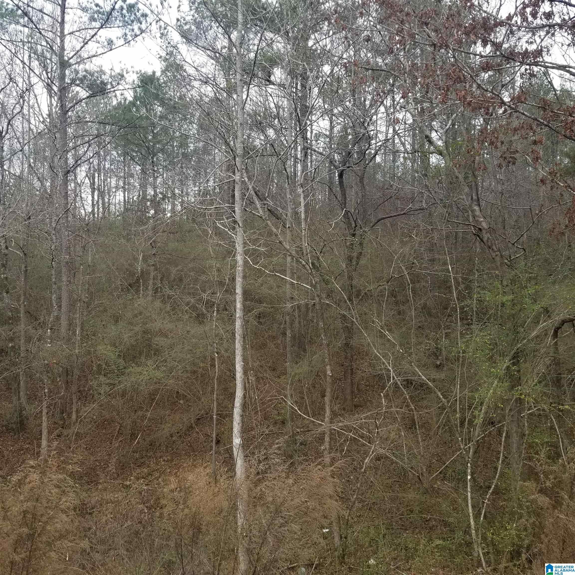 Homes for sale in Pell City, AL | 635 Deerbrook Road, Pell City, AL 35125 | MLS# 21441593