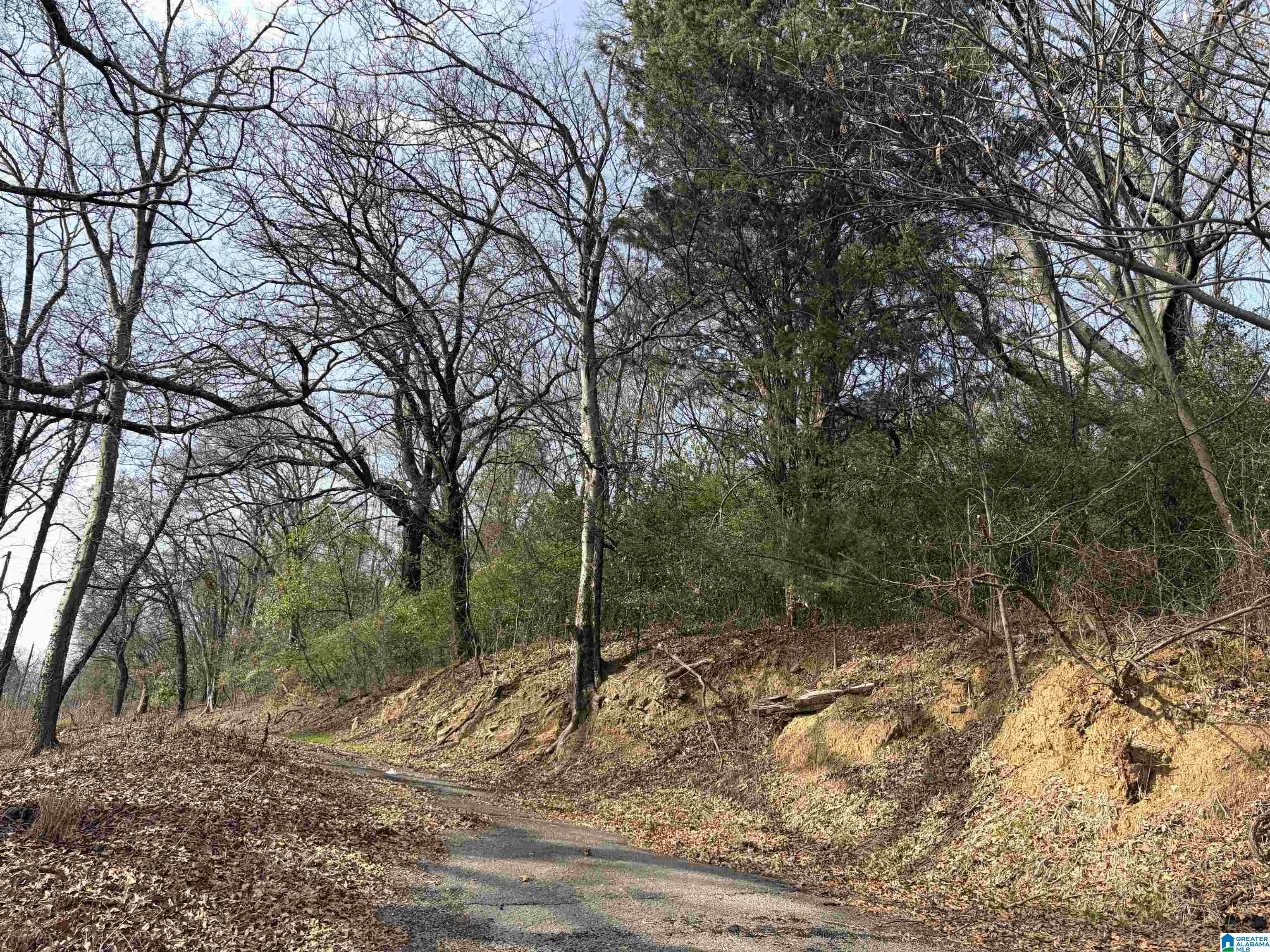 Photo 1 of Land for sale at 2217 43rd Avenue N, Birmingham, AL 35207 | MLS# 21441598 | Listing updated on 2026-01-22